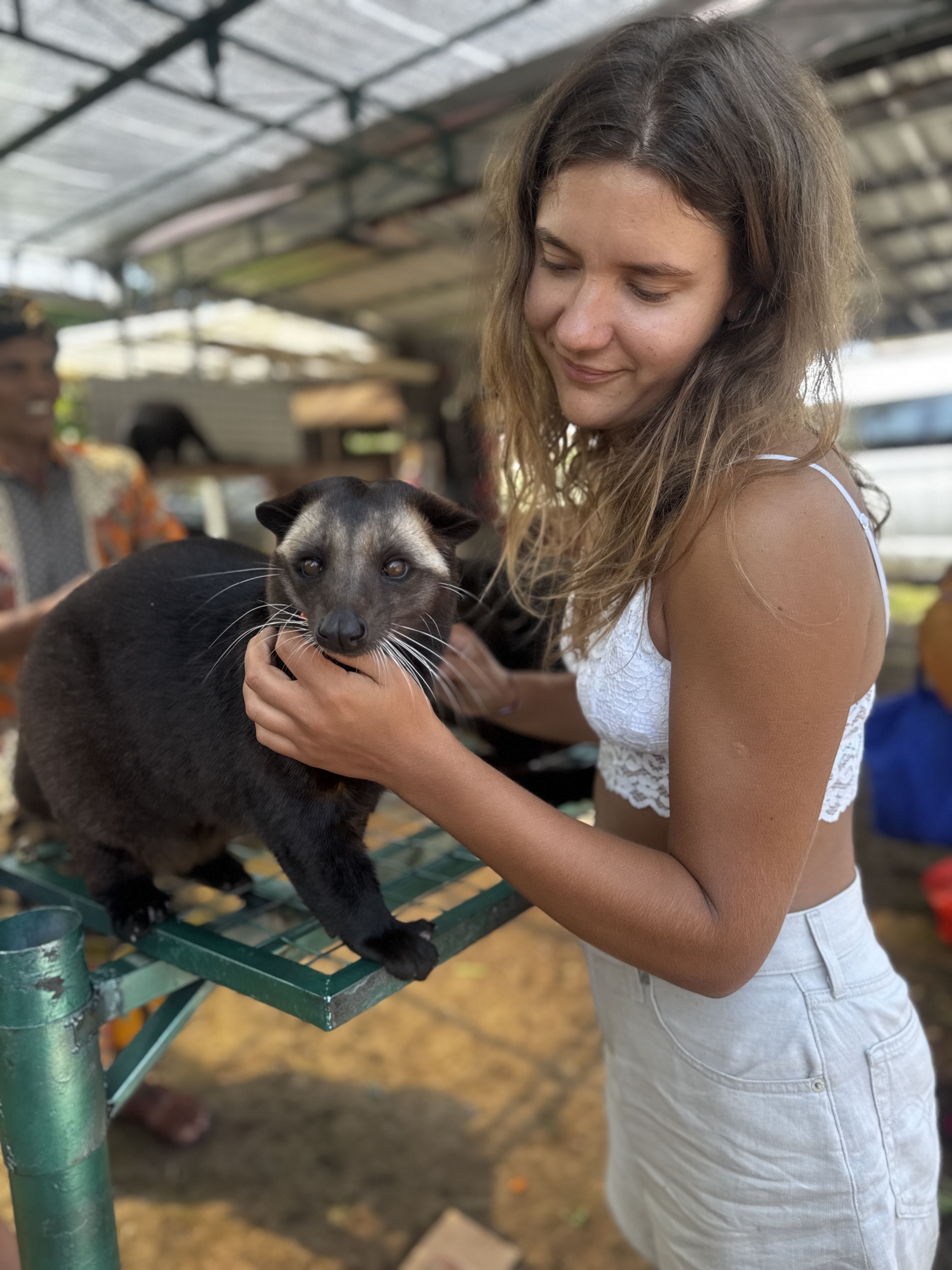 Бали и Нуса-Пенида: Ваш идеальный отдых за 8 дней (96/211)