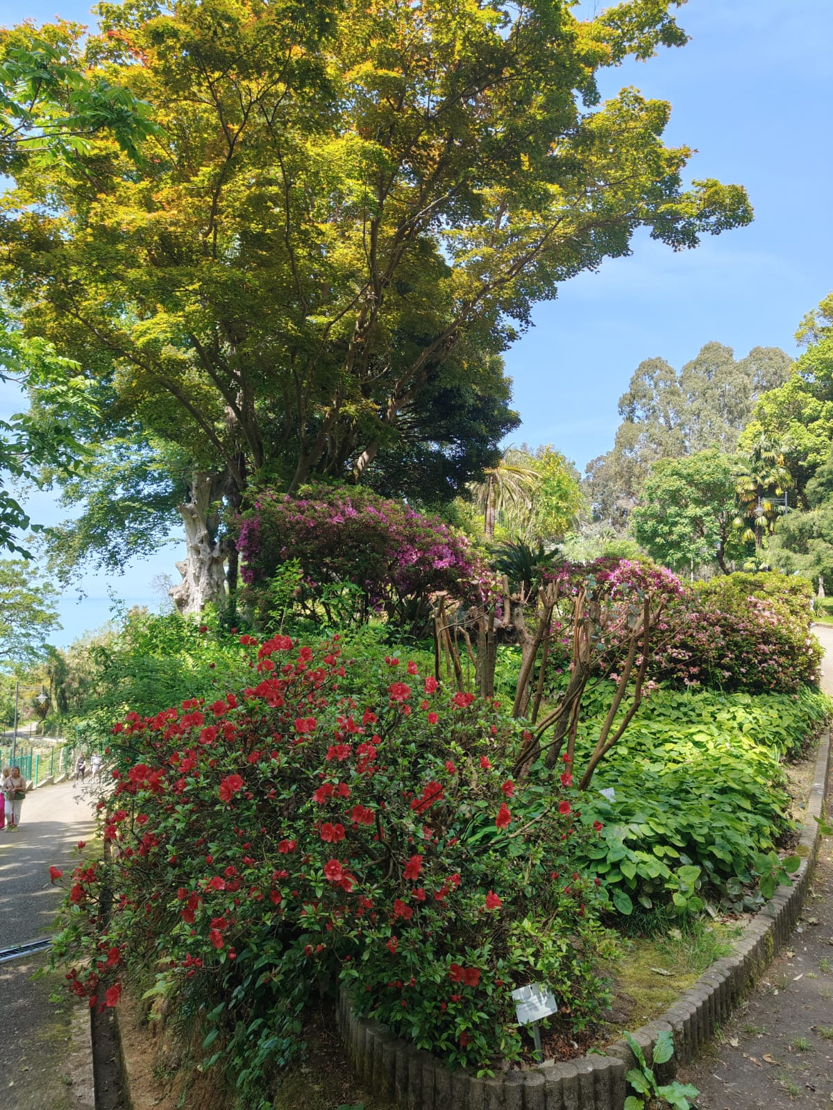 Колоритная Сванетия+Батуми. Тур-погружение в культуру и жизнь! (49/87)