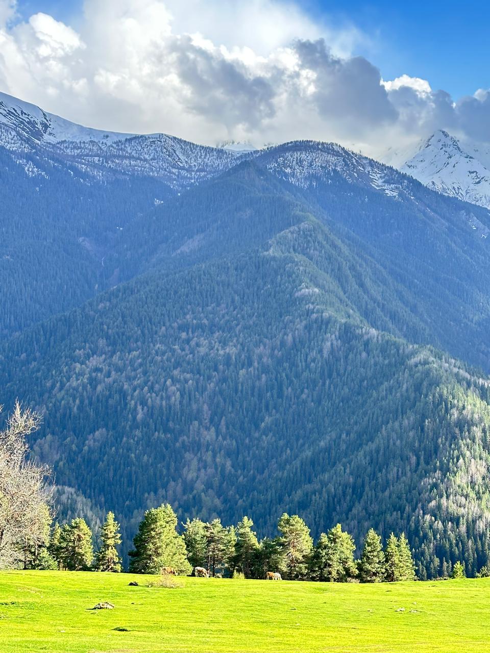 Колоритная Сванетия+Батуми. Тур-погружение в культуру и жизнь! (25/87)