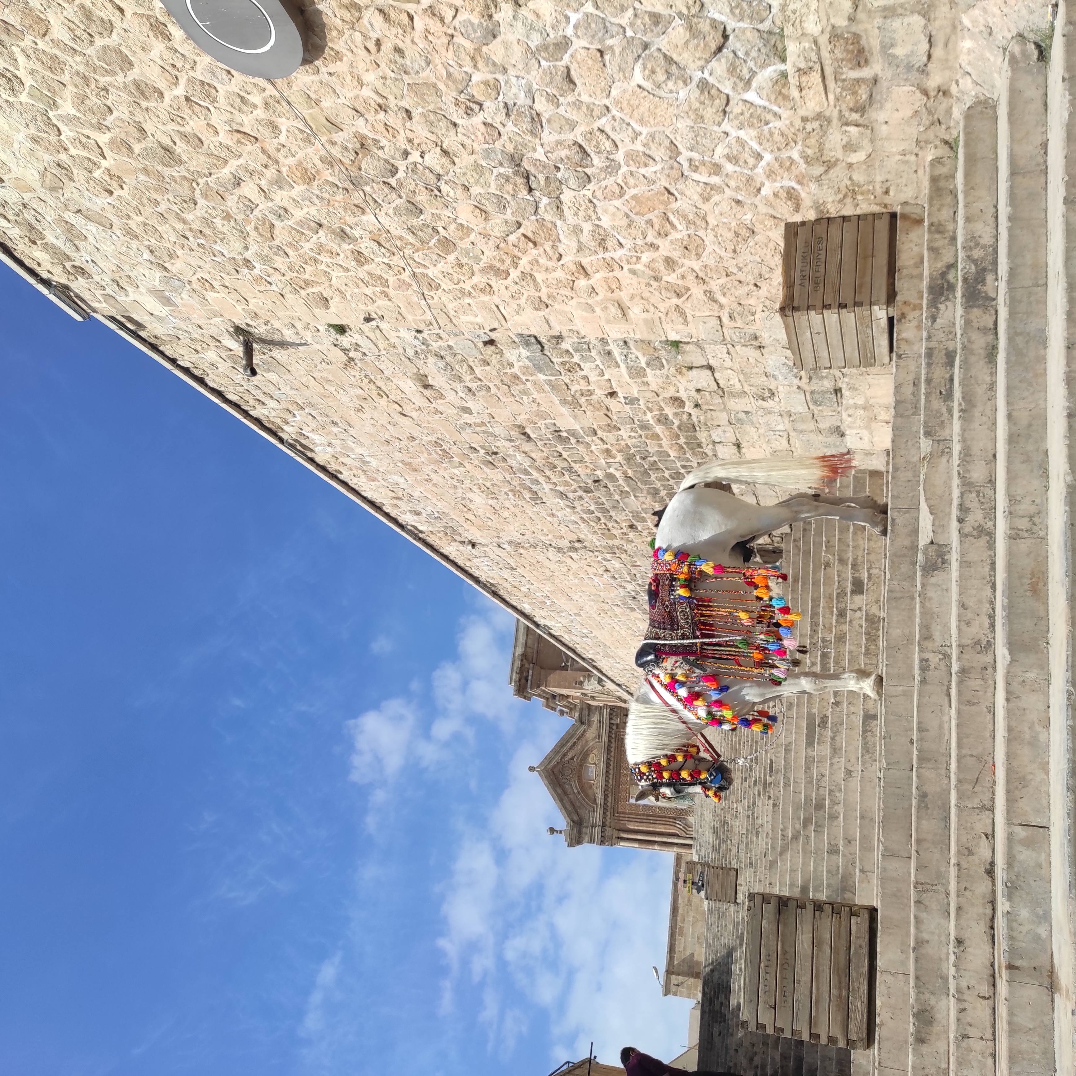 От Месопотамии до Каппадокии  7 ночей / 8 дней (19/171)