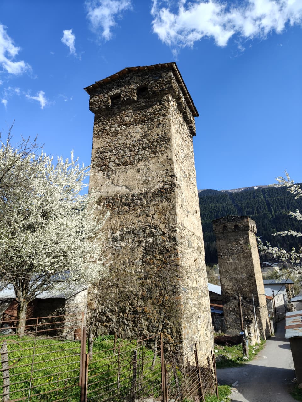 Колоритная Сванетия+Батуми. Тур-погружение в культуру и жизнь! (66/87)