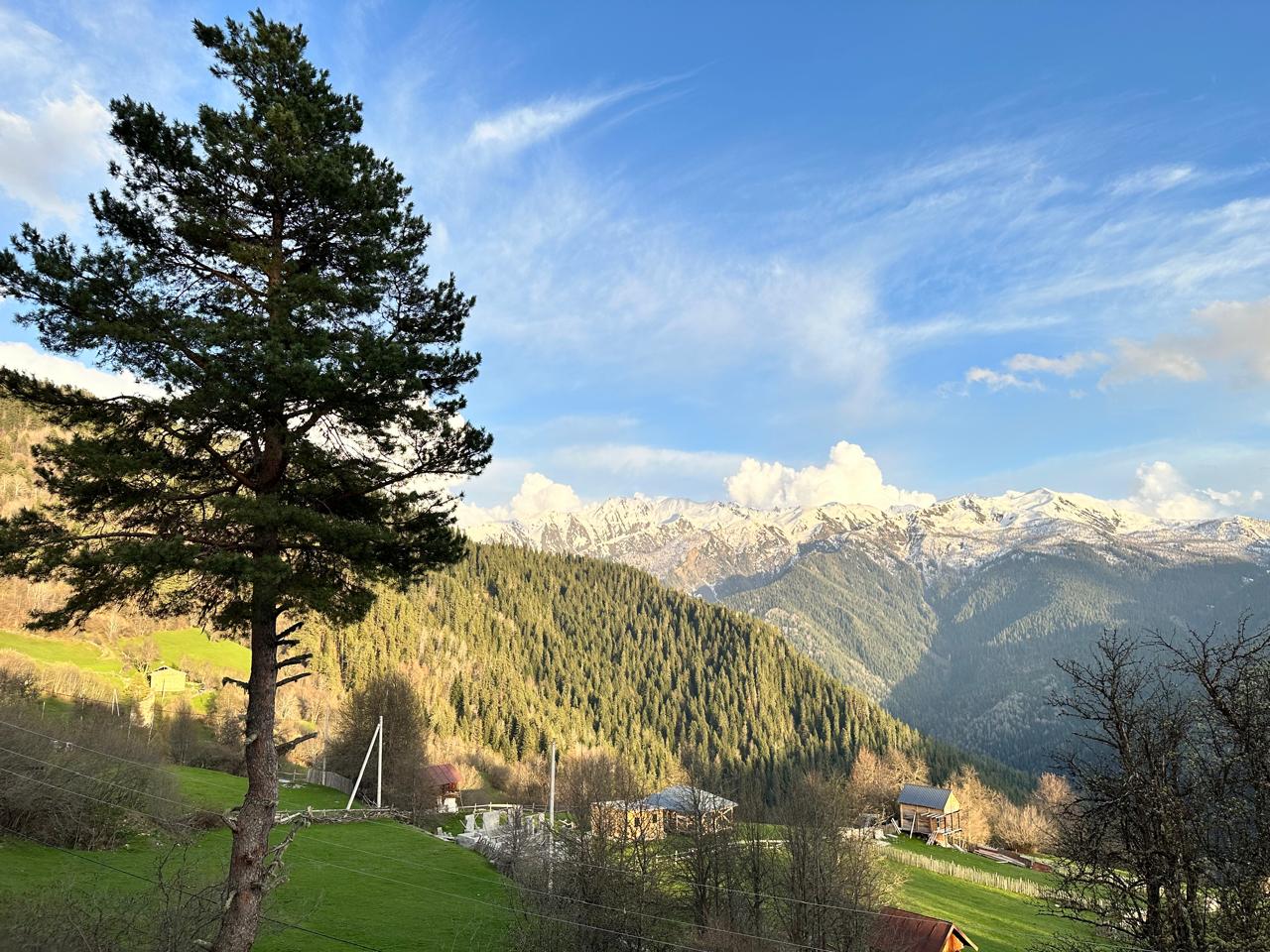 Колоритная Сванетия+Батуми. Тур-погружение в культуру и жизнь! (26/87)