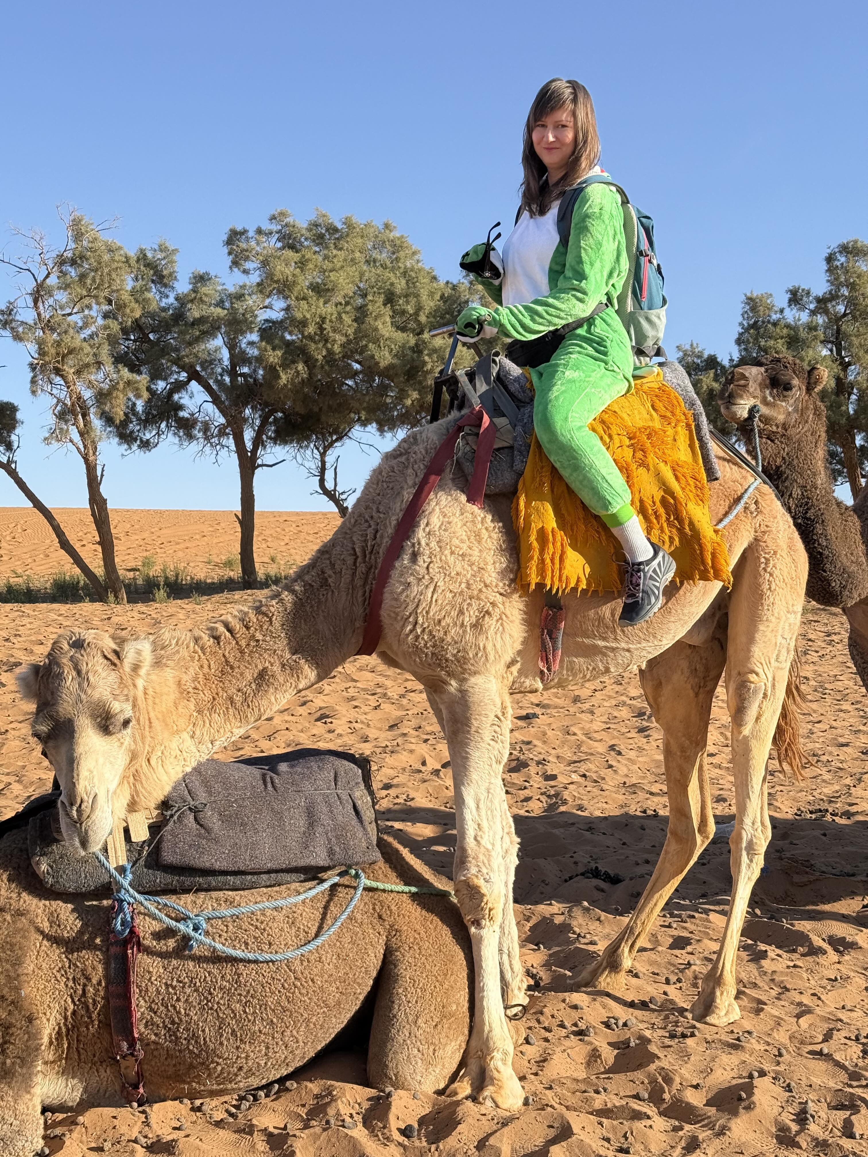 Новый год в Сахаре! 10 дней.Всё самое интересное в Марокко. (9/59)