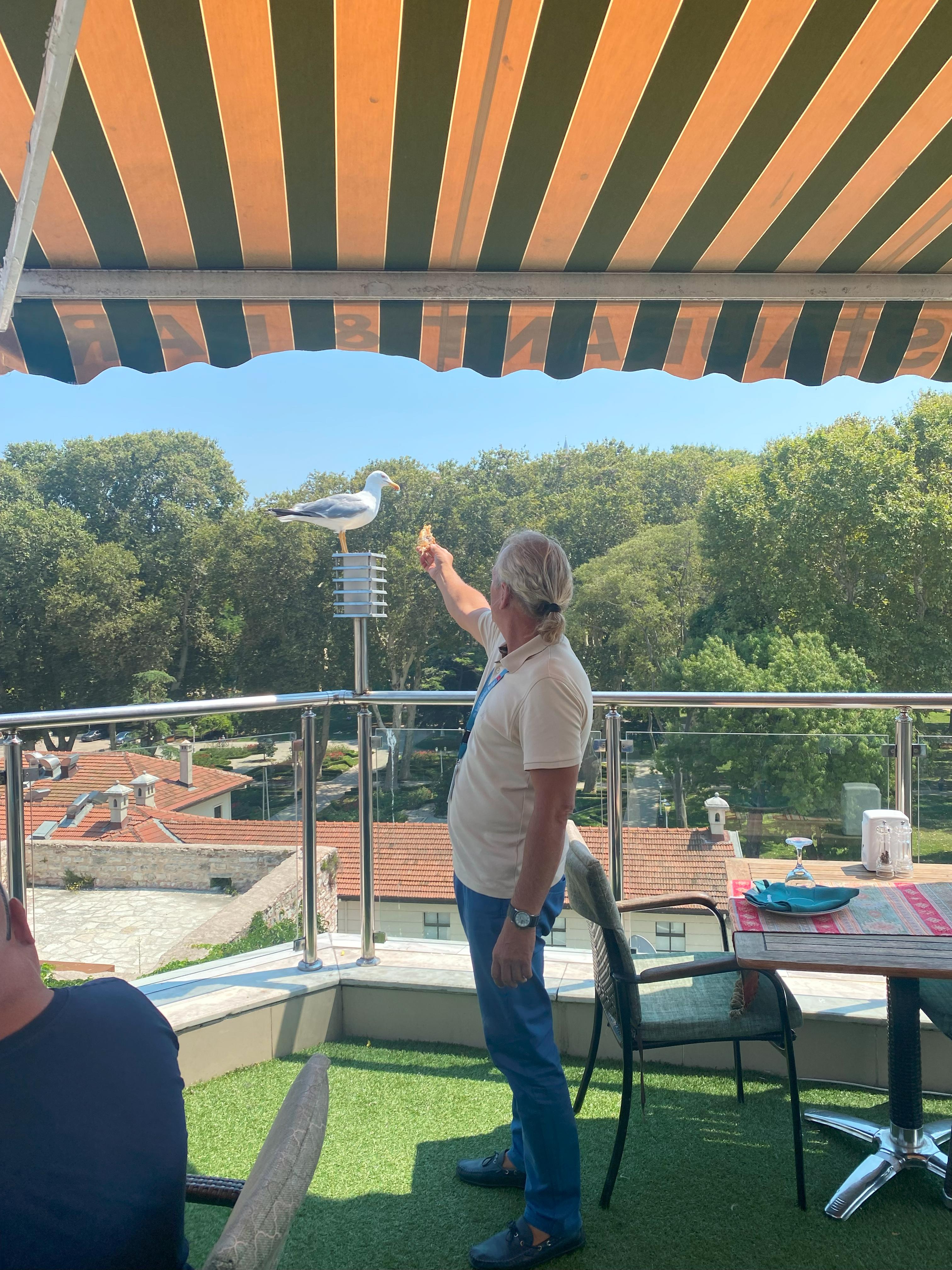 Великий Стамбул 6 ночей/ 7 дней (13/86)