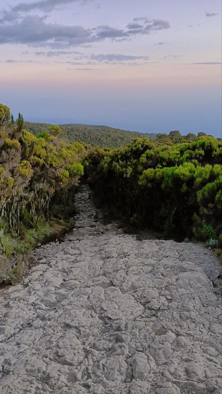 Килиманджаро по маршруту Мачаме (6/9)