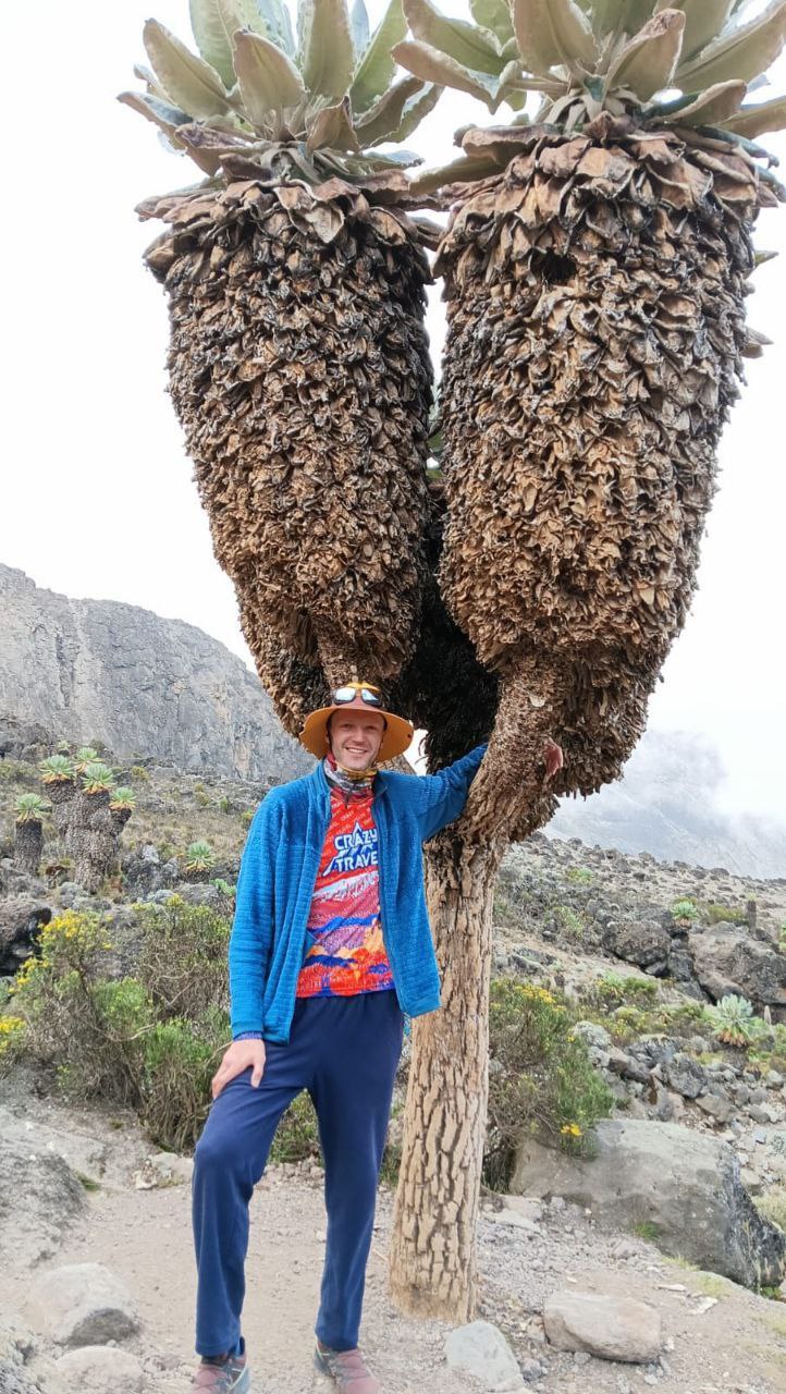 Килиманджаро по маршруту Мачаме (8/9)