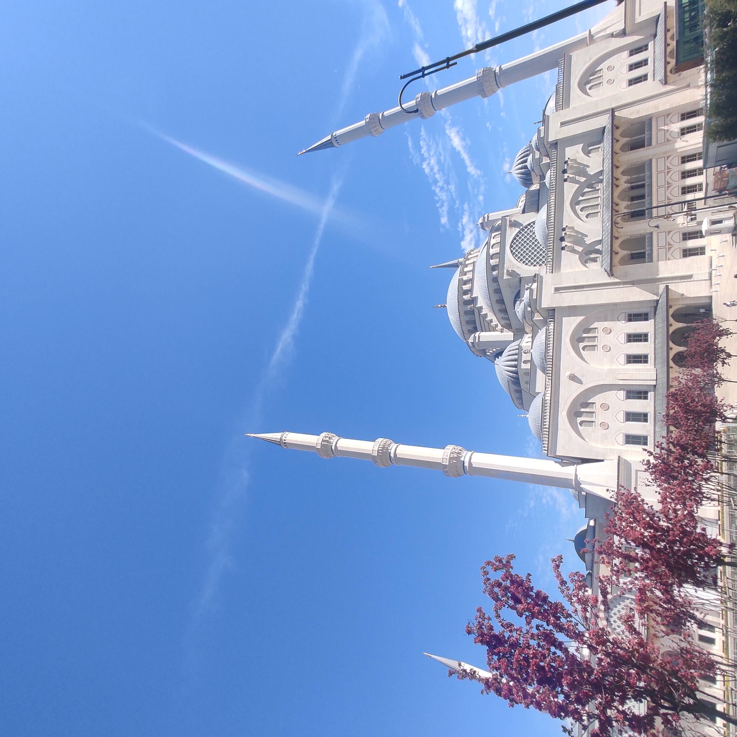 Великий Стамбул 6 ночей/ 7 дней (30/86)