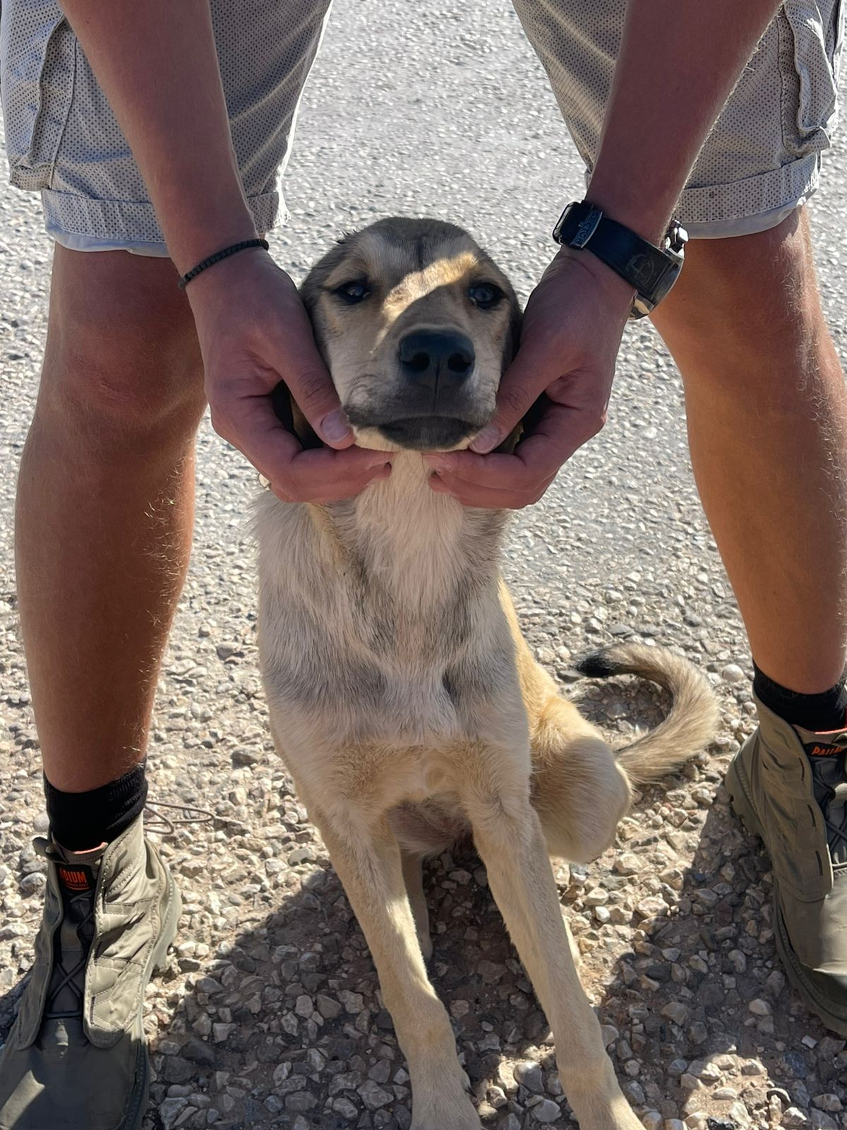 Три столицы Османской империи: Бурса, Эдирне, Стамбул + легенды Трои (6/44)