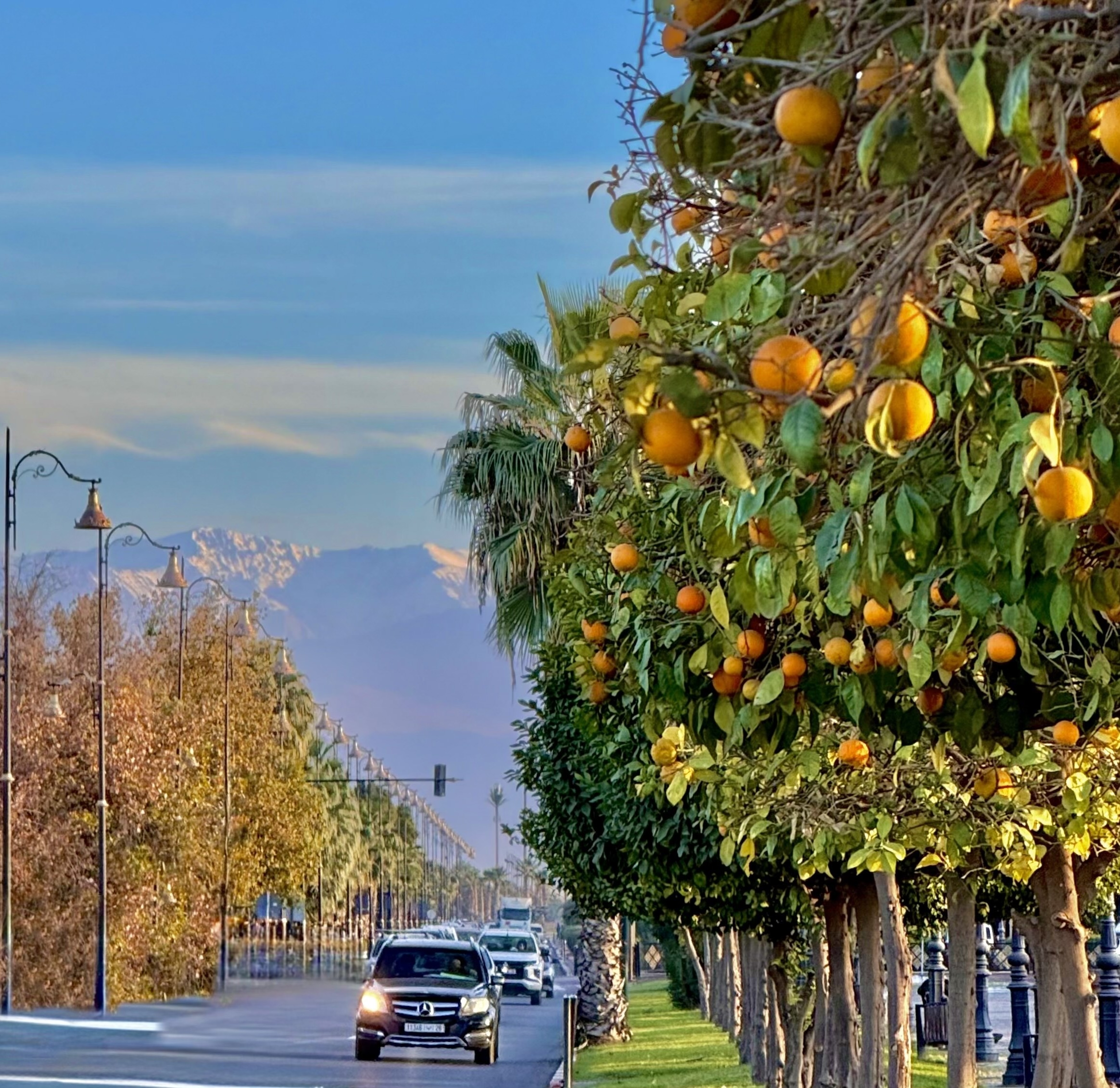 Рождество в Марокко! 9 дней магии. (12/81)