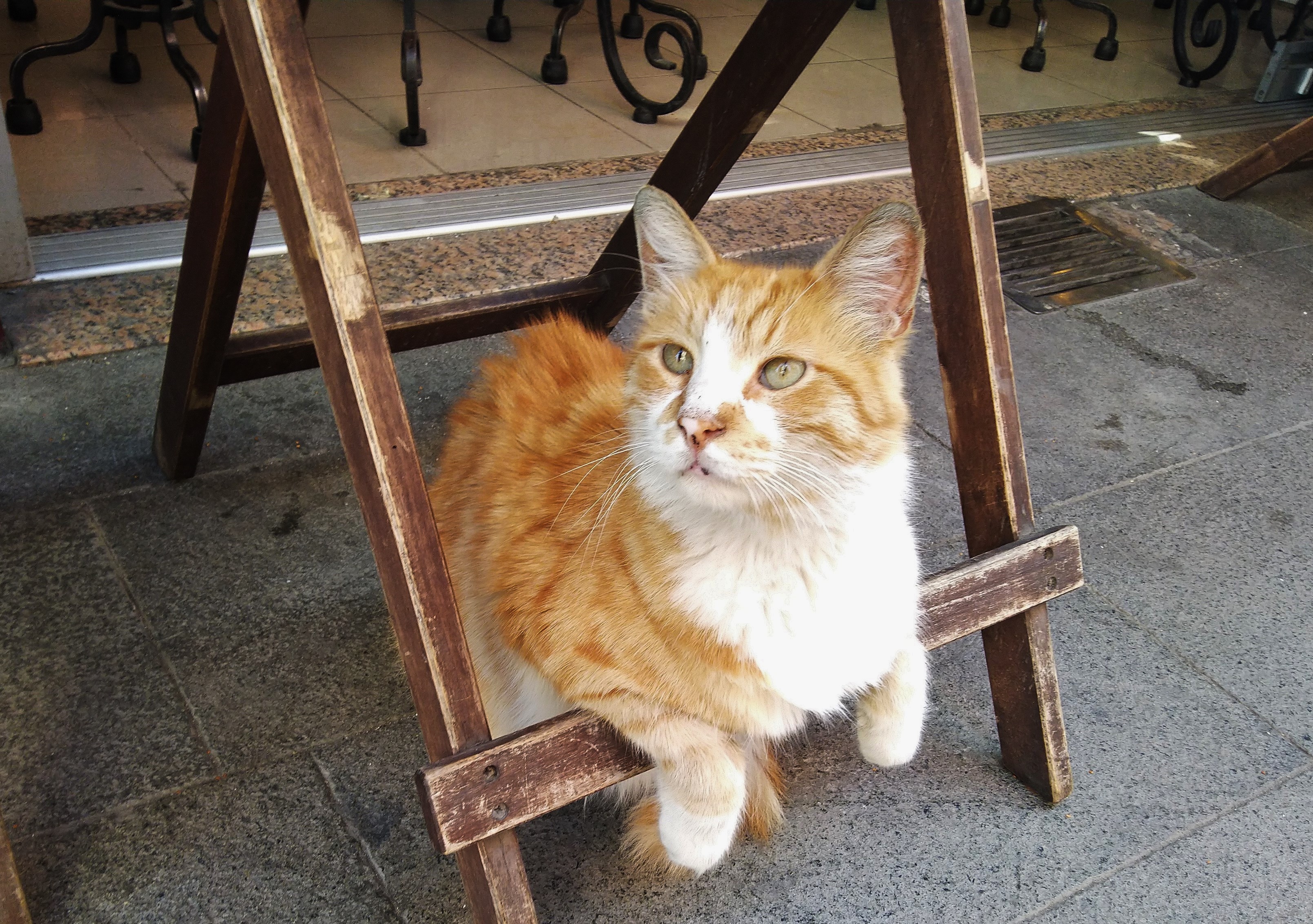 Три столицы Османской империи: Бурса, Эдирне, Стамбул + легенды Трои (4/44)