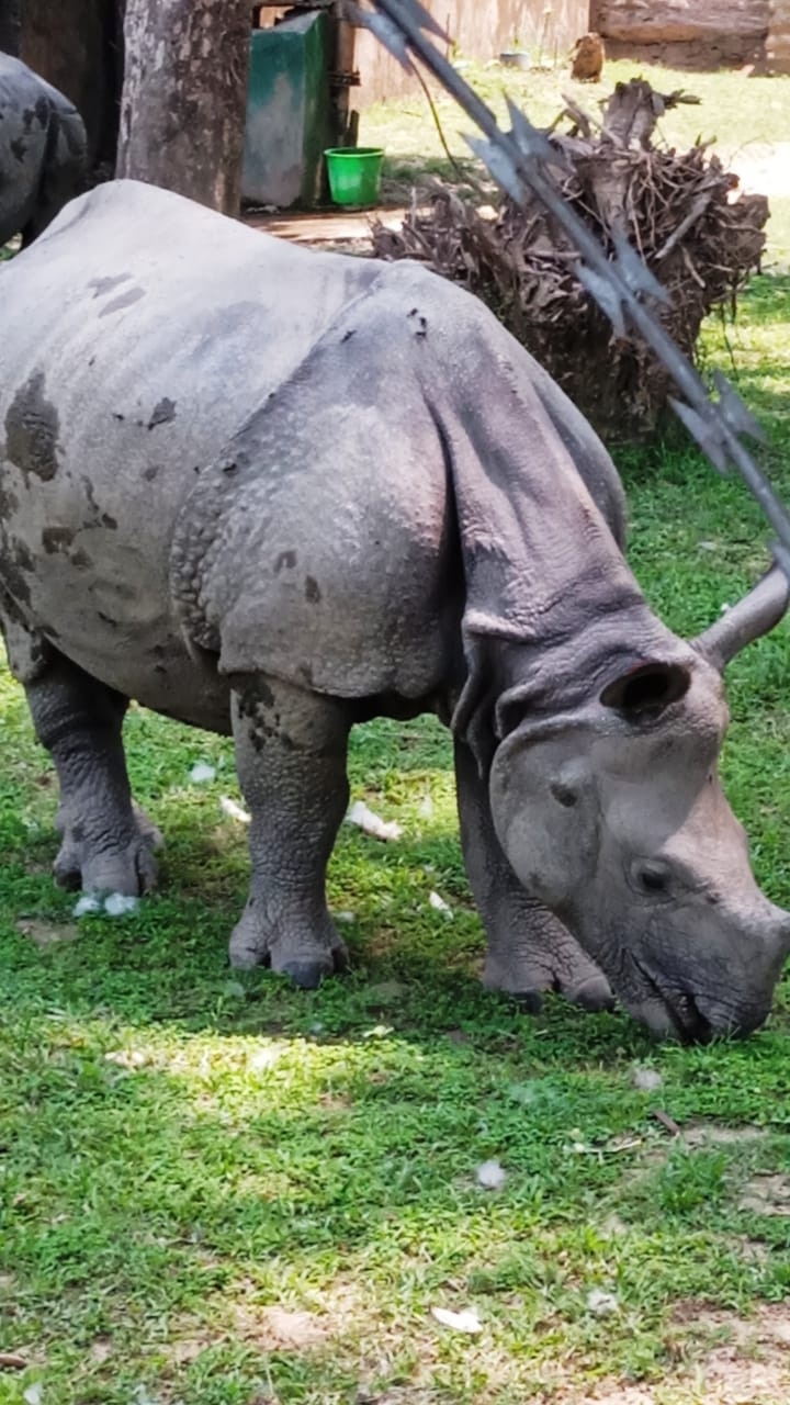 Удивительный Непал:   красота, трек, сафари, церемонии... (4/15)