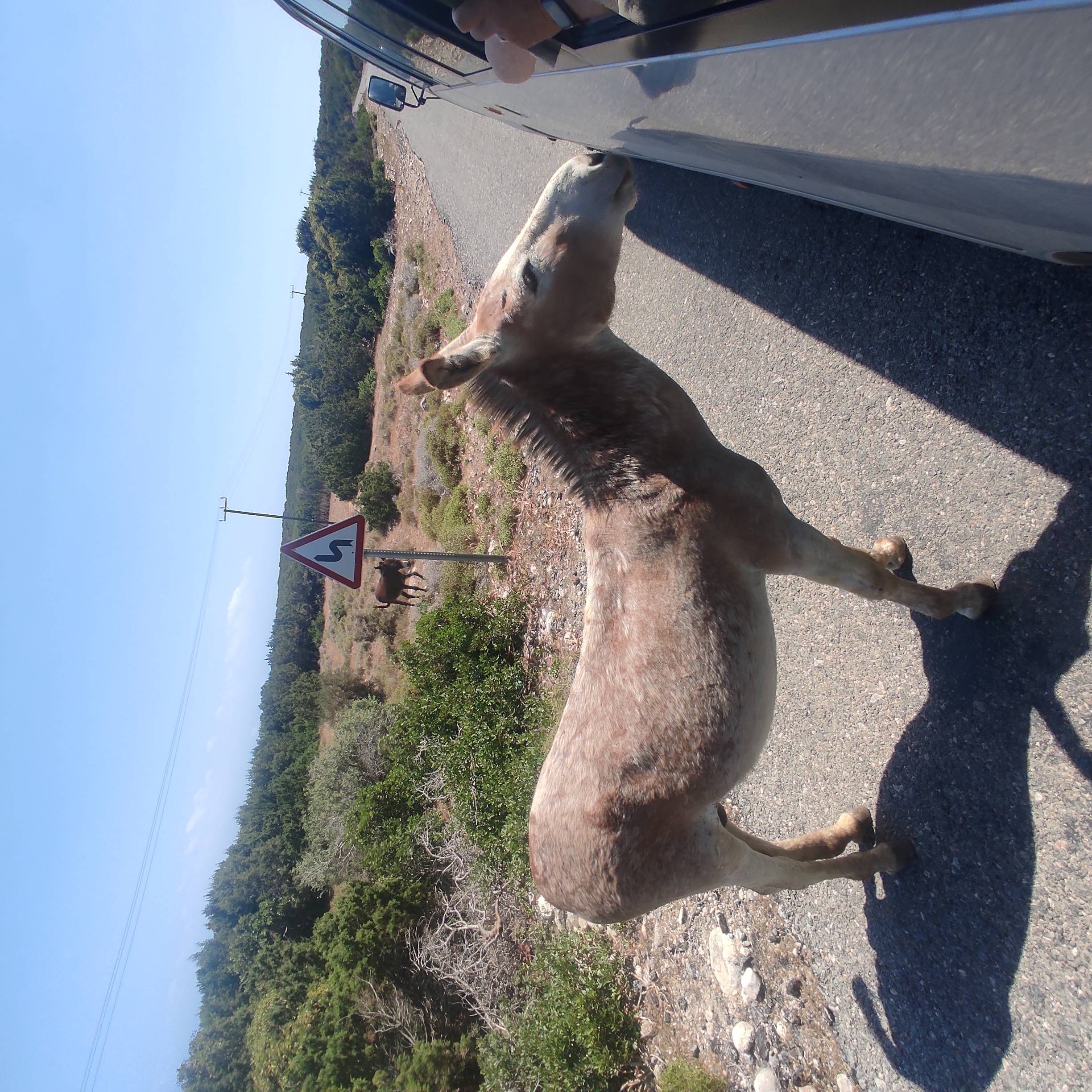 Стамбул & Северный Кипр 7ночей/8 дней (44/77)