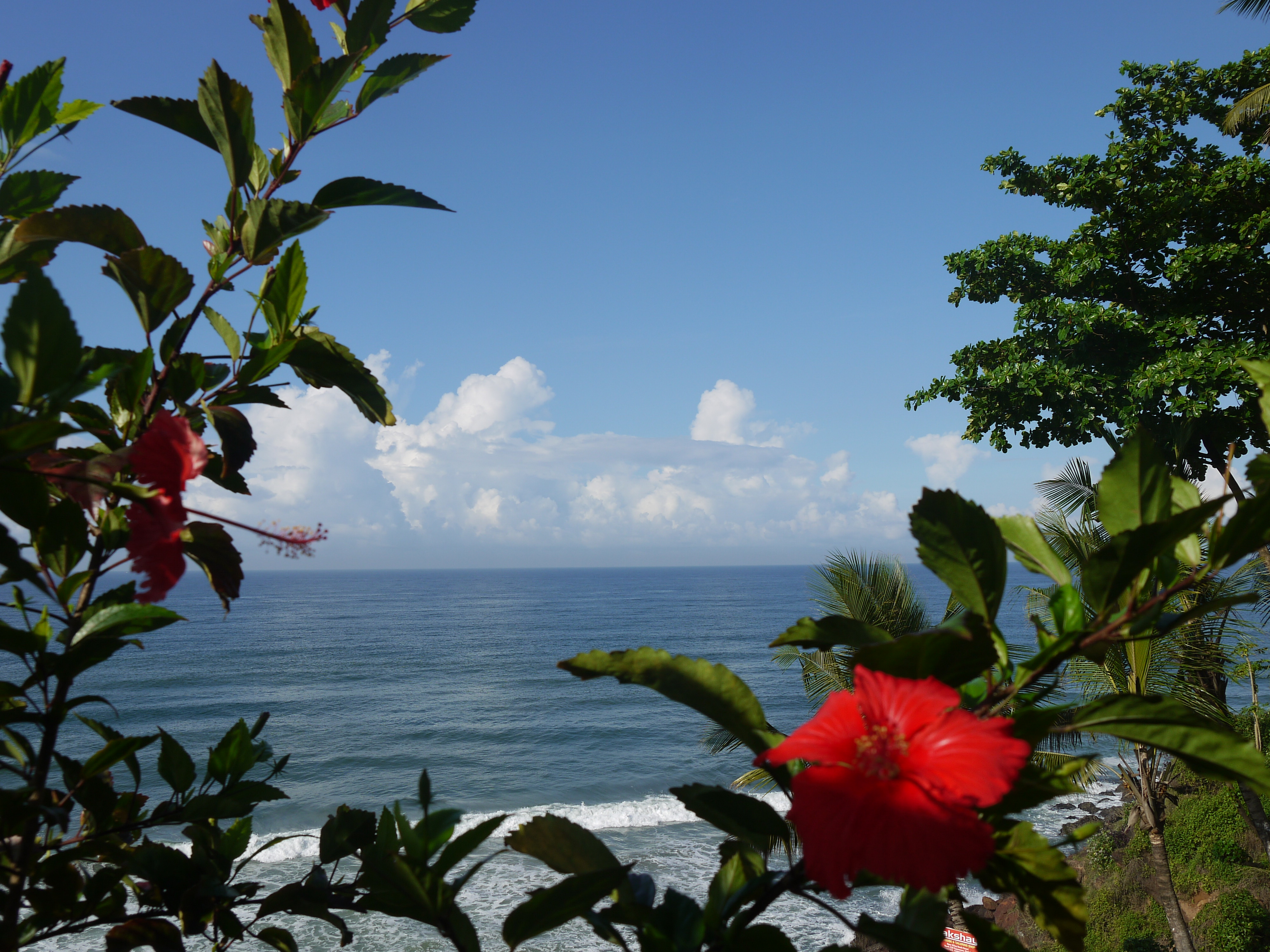 Тропическая Керала на Новый год (16/16)