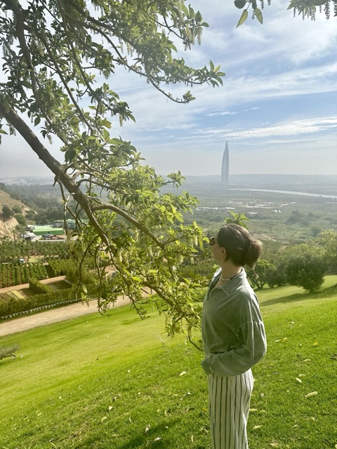 Рождество в Марокко! 9 дней магии. (46/81)