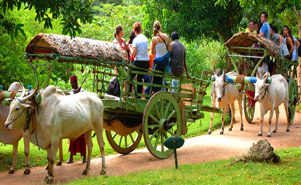 Тур в Шри Ланку на 10 дней (06 дней экскурсии + 04 дня пляж) (5/68)
