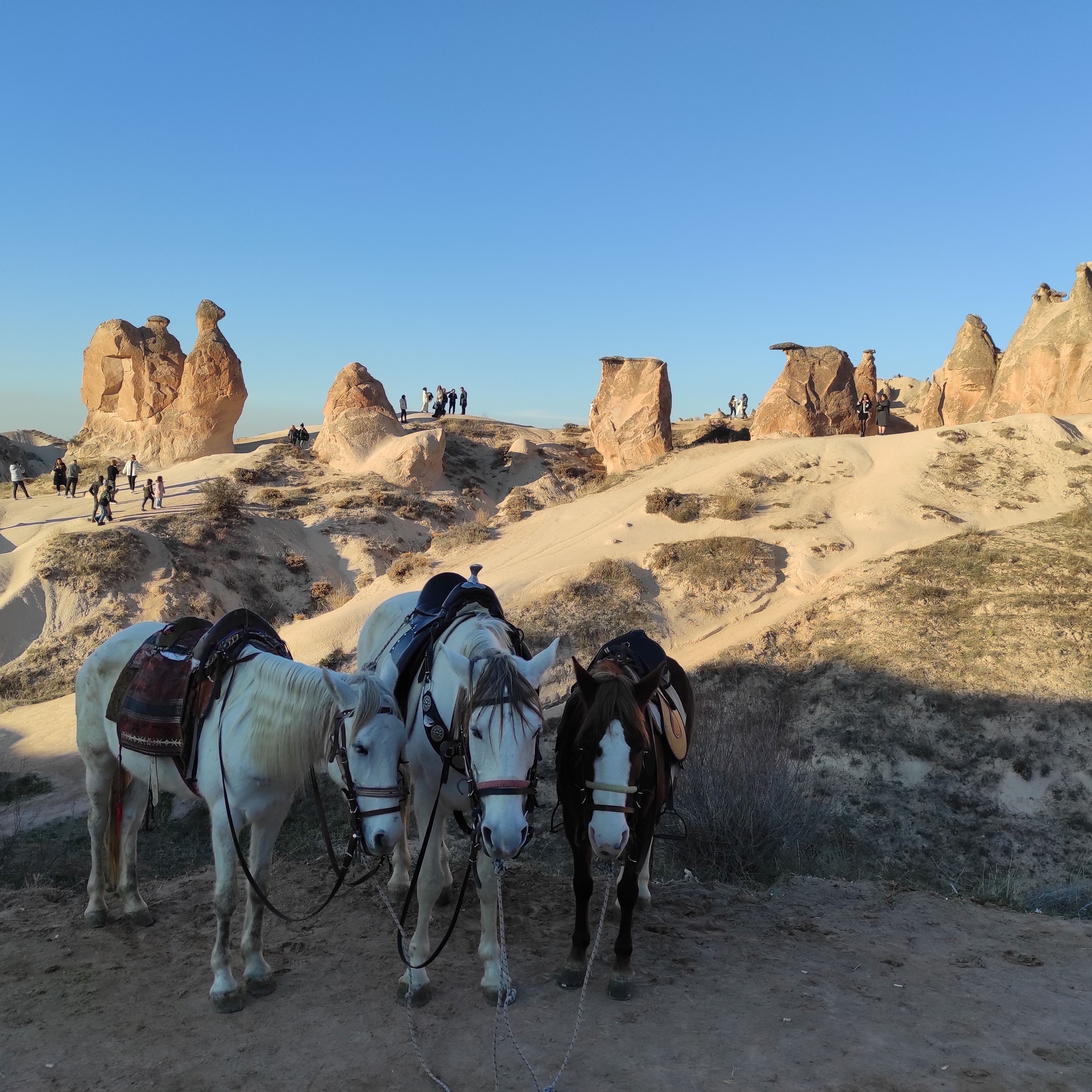 Анталья - Памуккале - Конья - Каппадокия (20/53)