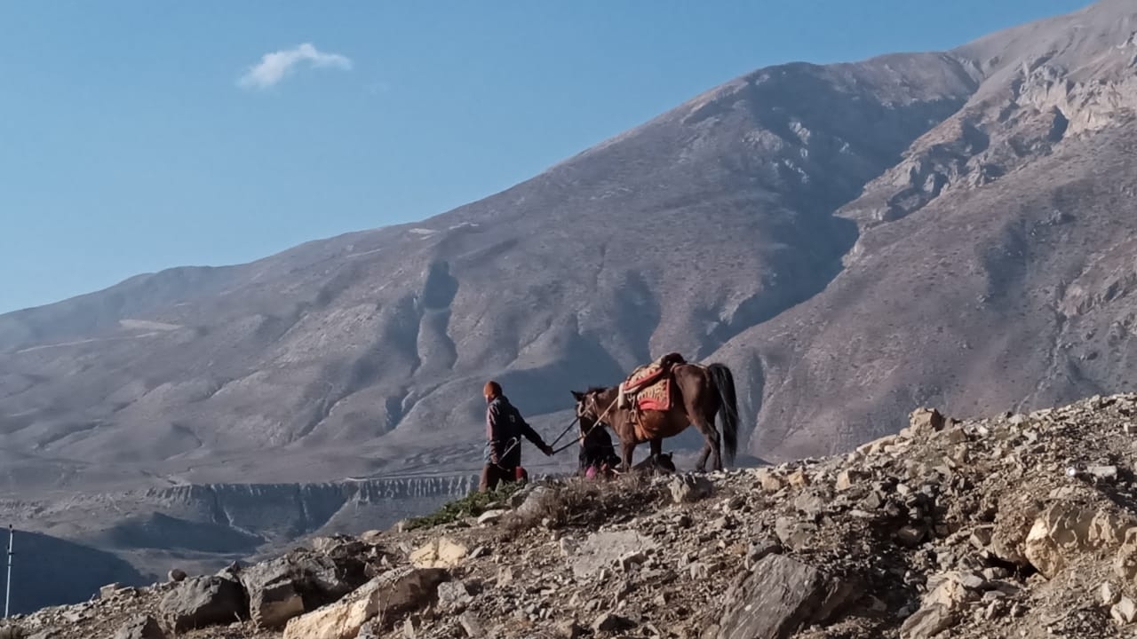 Удивительный Непал:   красота, трек, сафари, церемонии... (7/15)