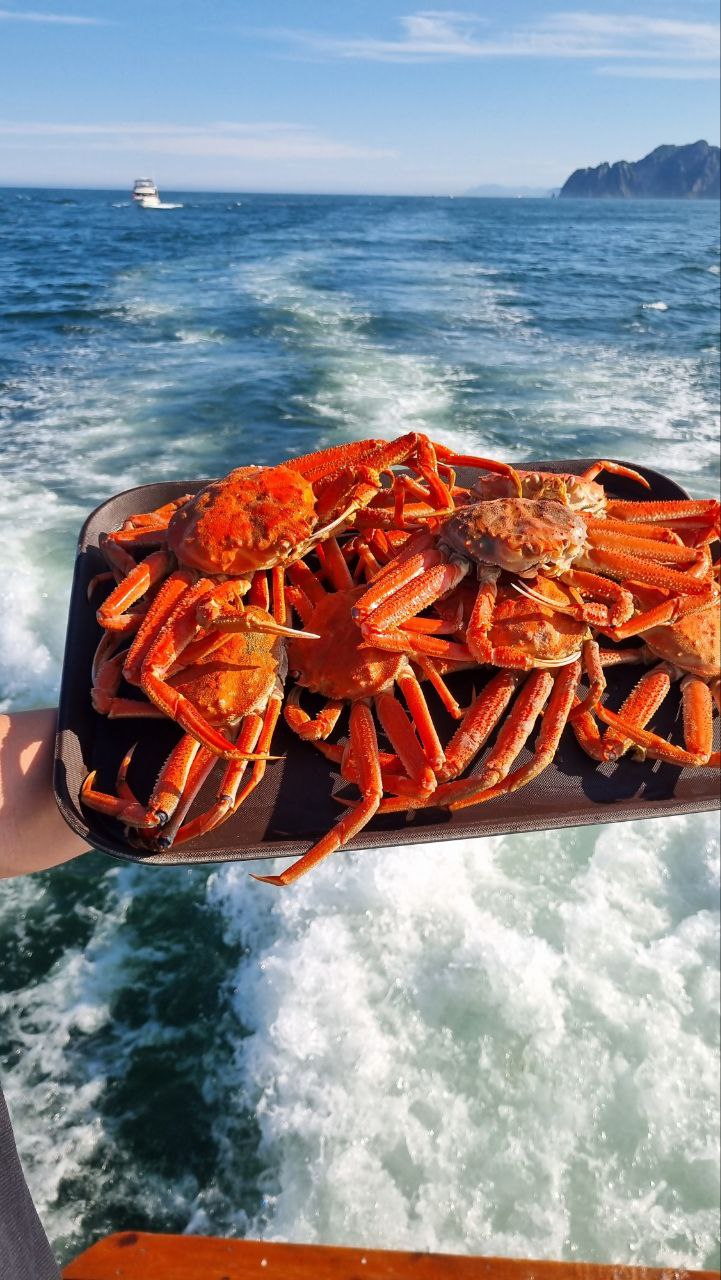 Хит Камчатки: более 20 локаций за 8 дней. Всё включено. (95/110)