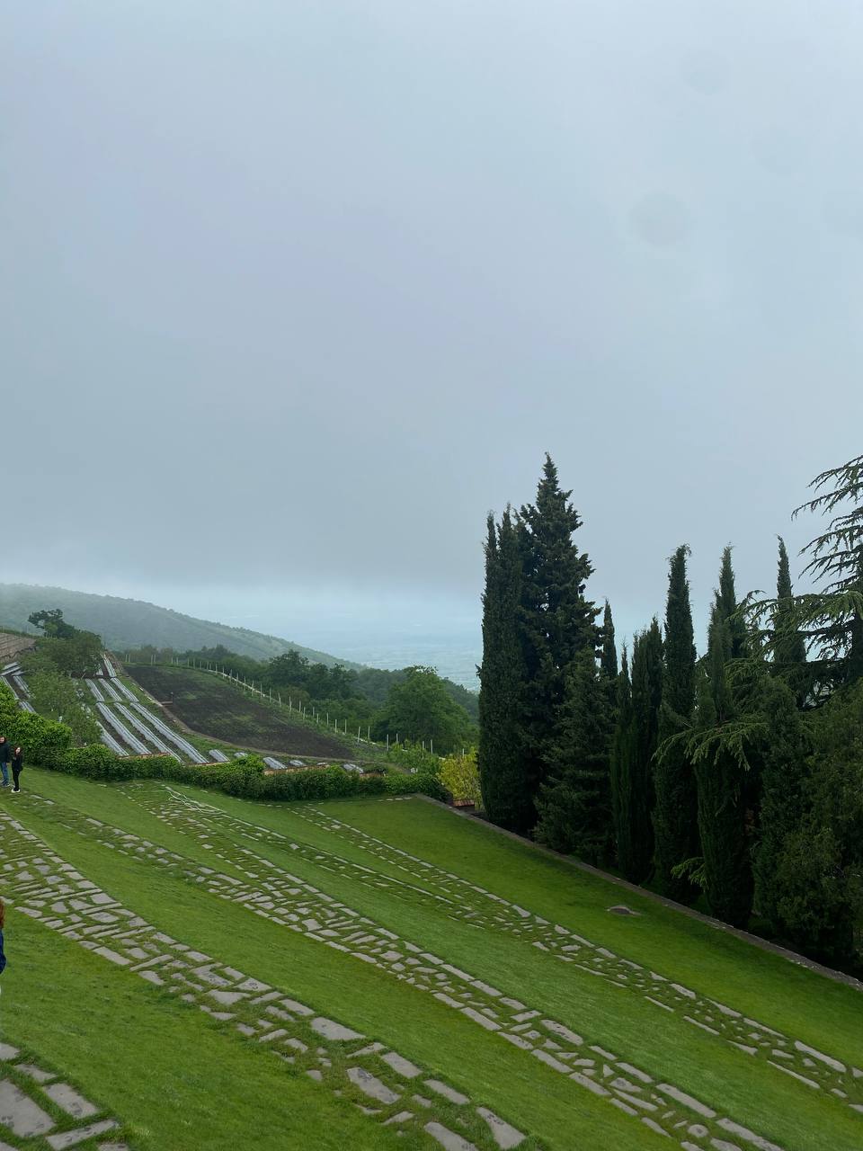 В двух словах о Грузии (12/20)