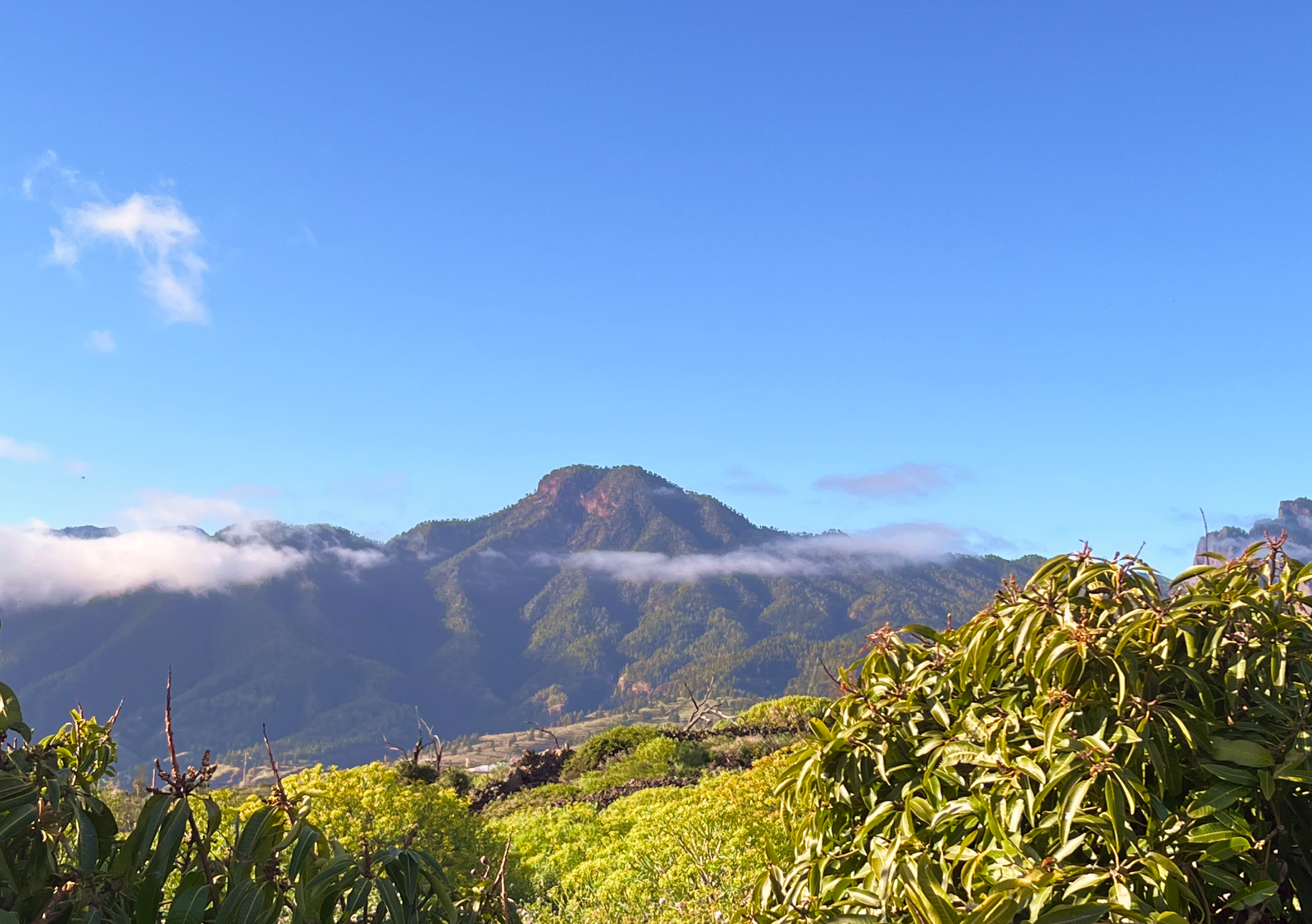 От вулканов до океана: неделя, которая зарядит энергией на год вперёд.