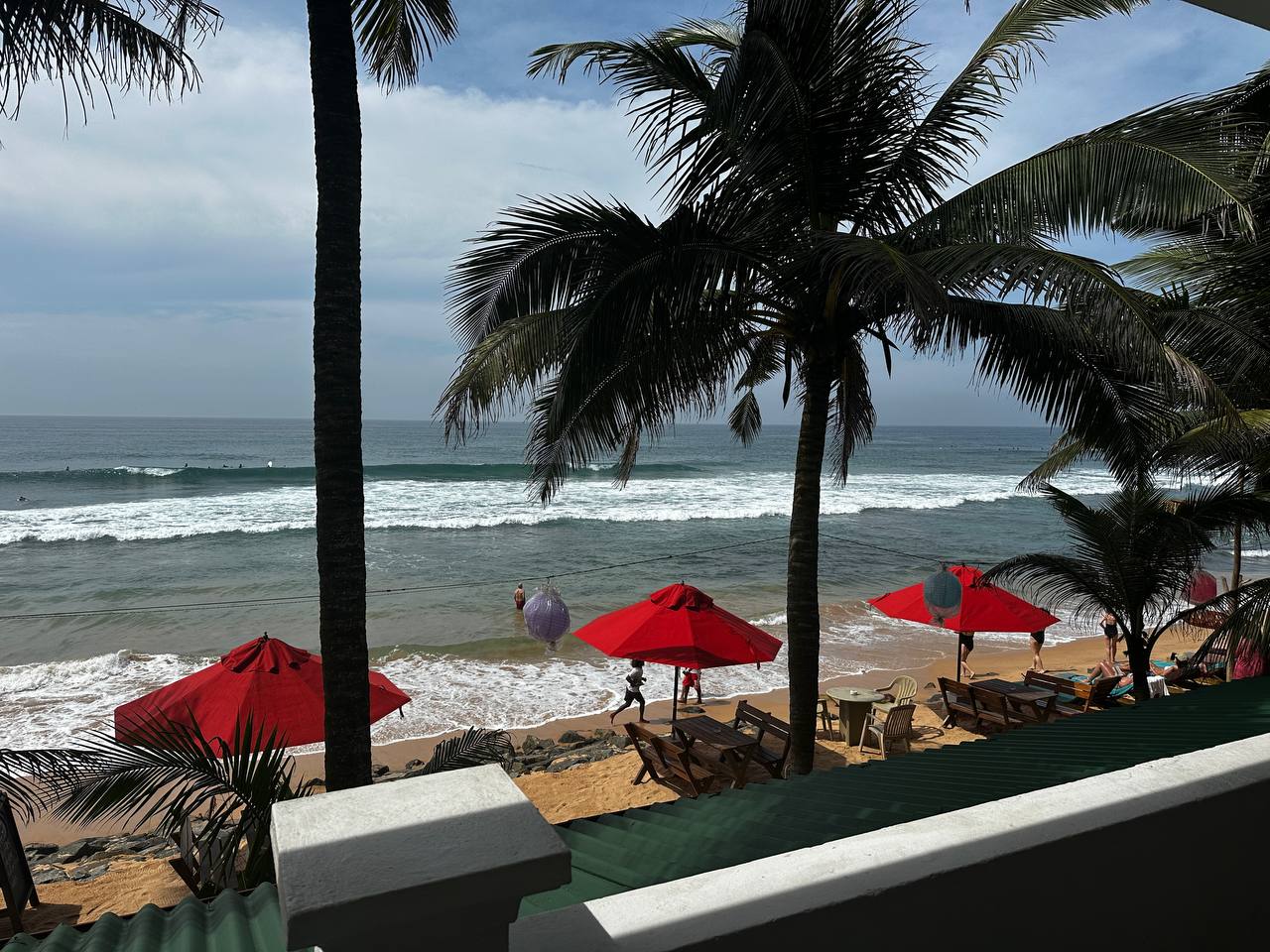 Тур Экзотика Шри-Ланки Pro (10 дней) (32/36)