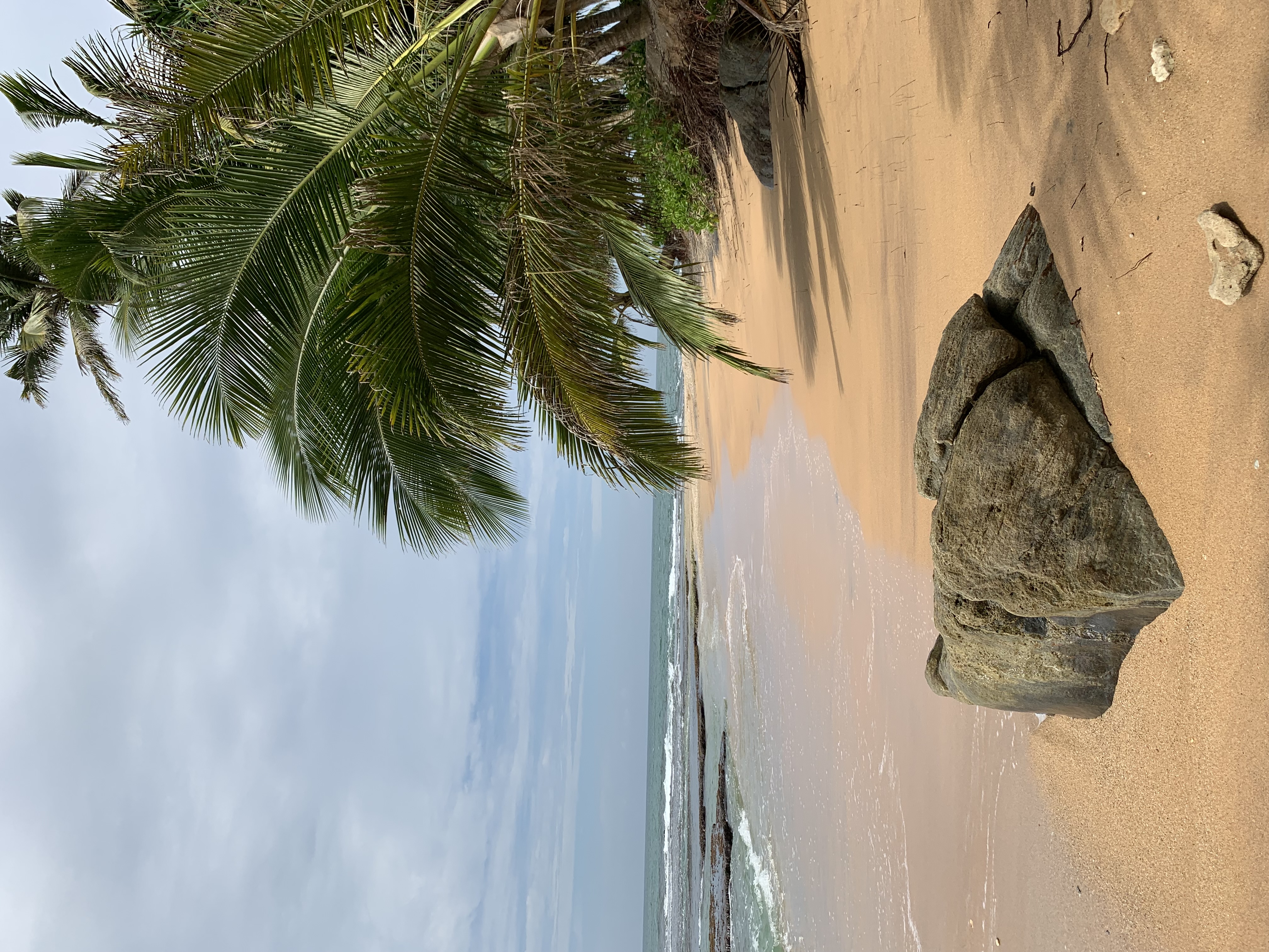 Тур Экзотика Шри-Ланки Pro (10 дней) (34/36)