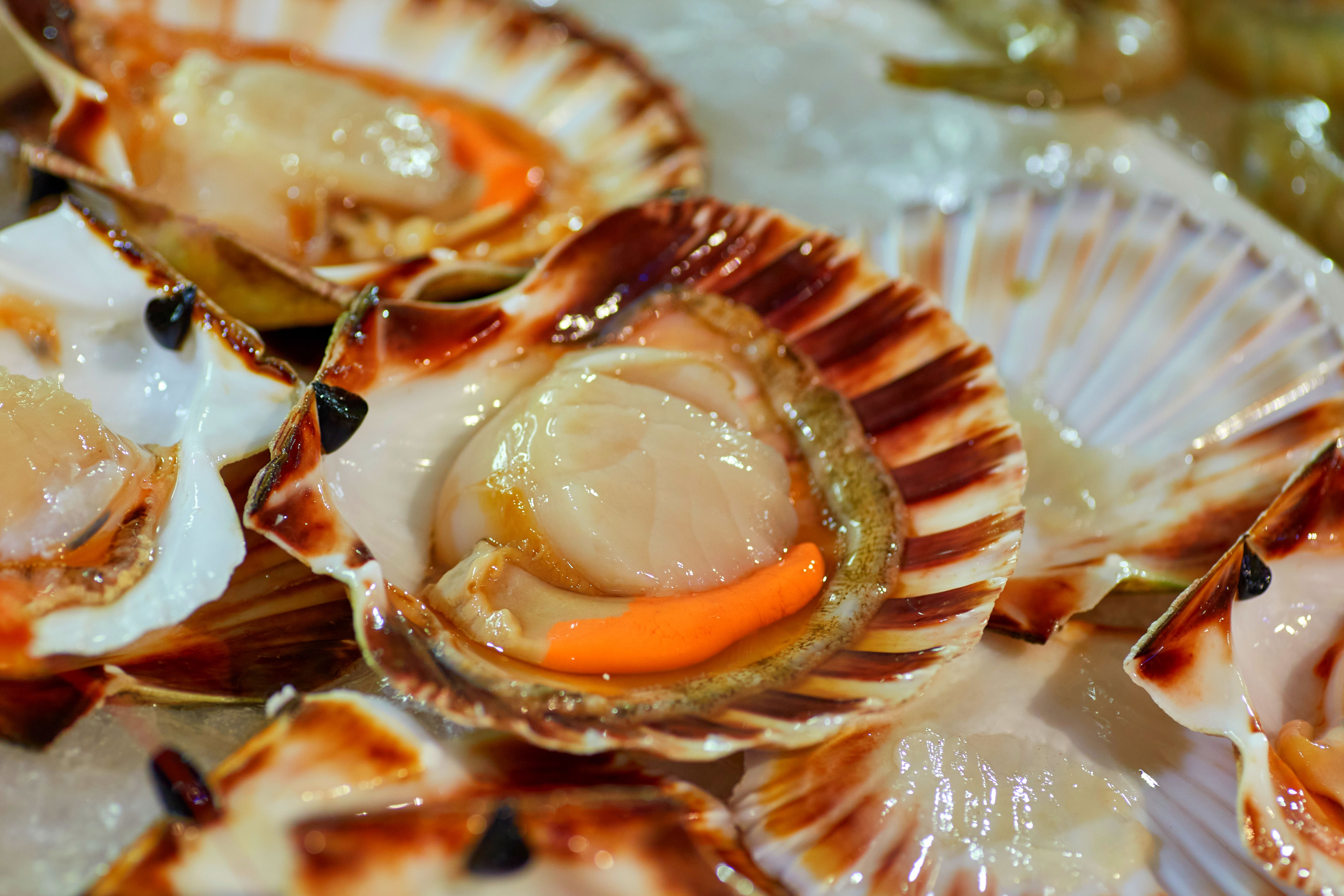 Канада: осколки изумрудного рая