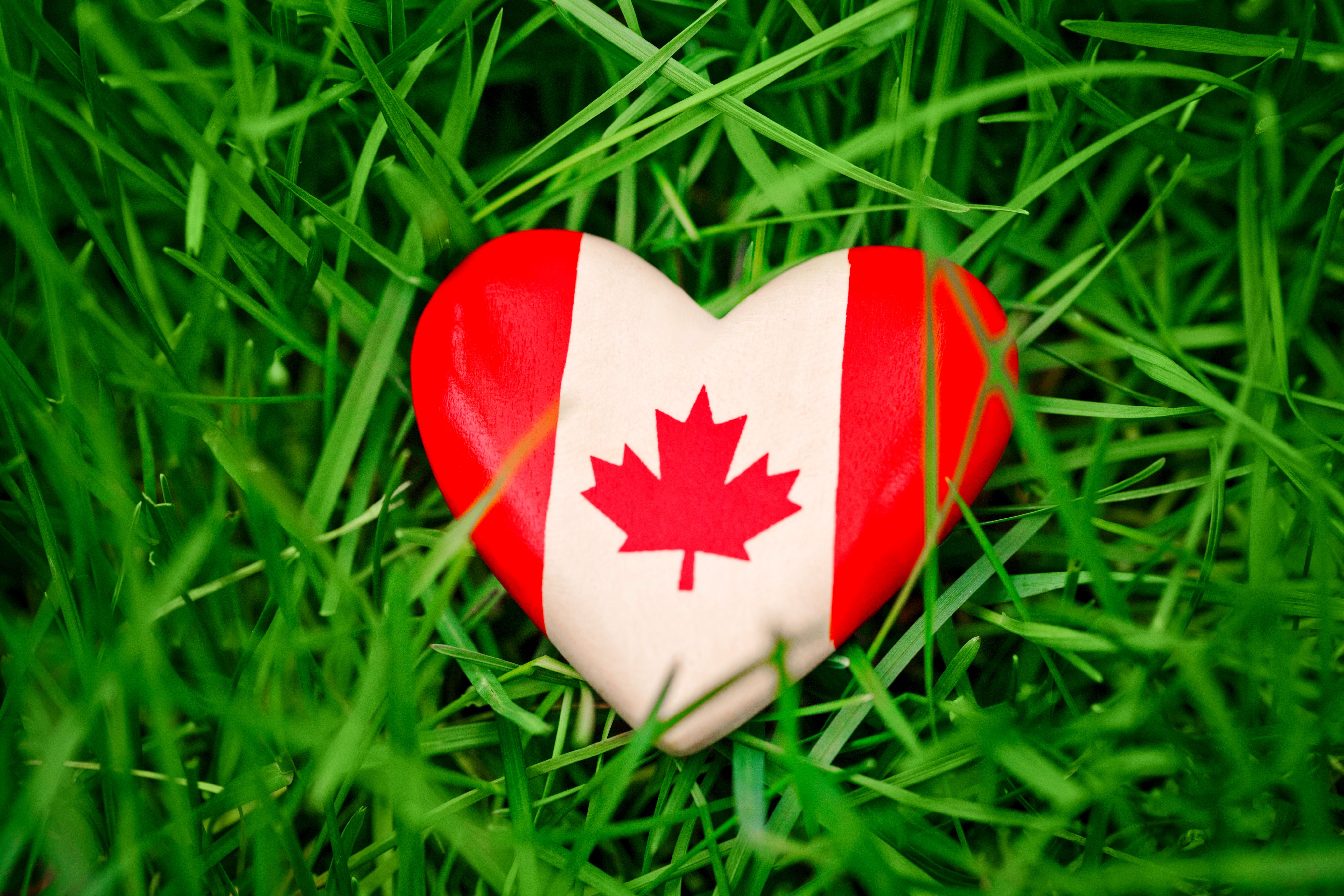 Канада: осколки изумрудного рая