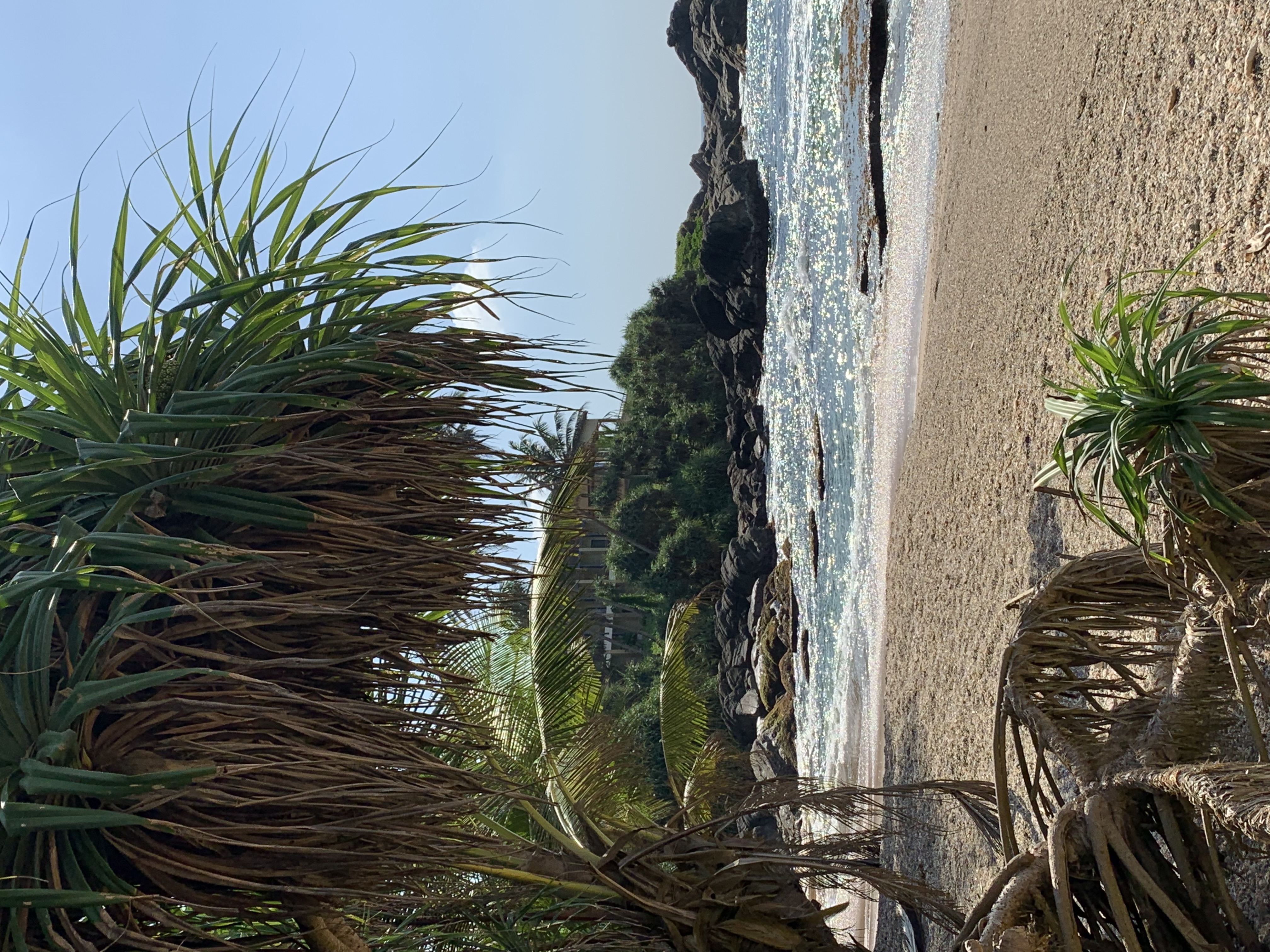 Тур Экзотика Шри-Ланки Pro (10 дней) (36/36)