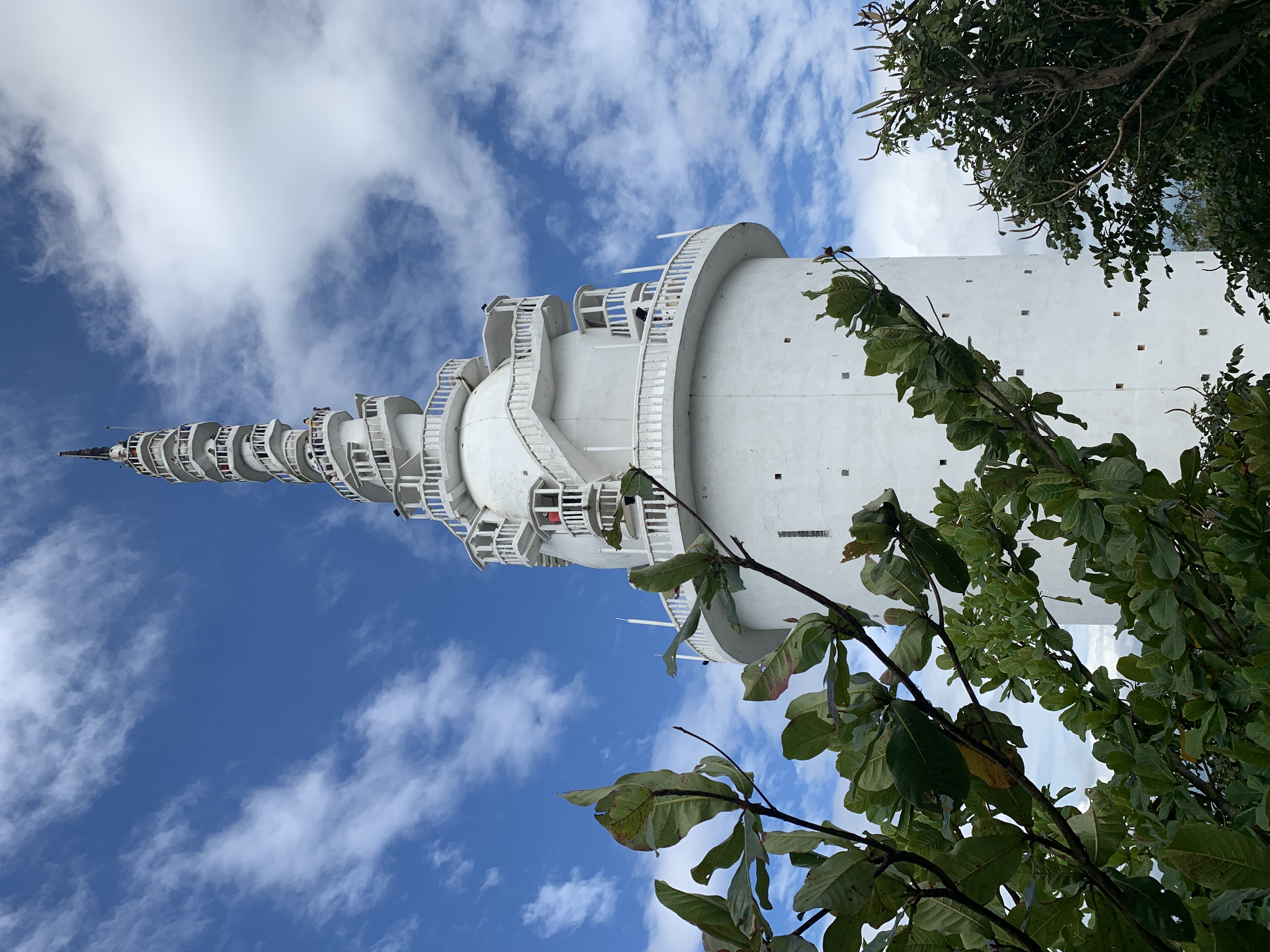 Тур Экзотика Шри-Ланки Pro (10 дней) (21/36)