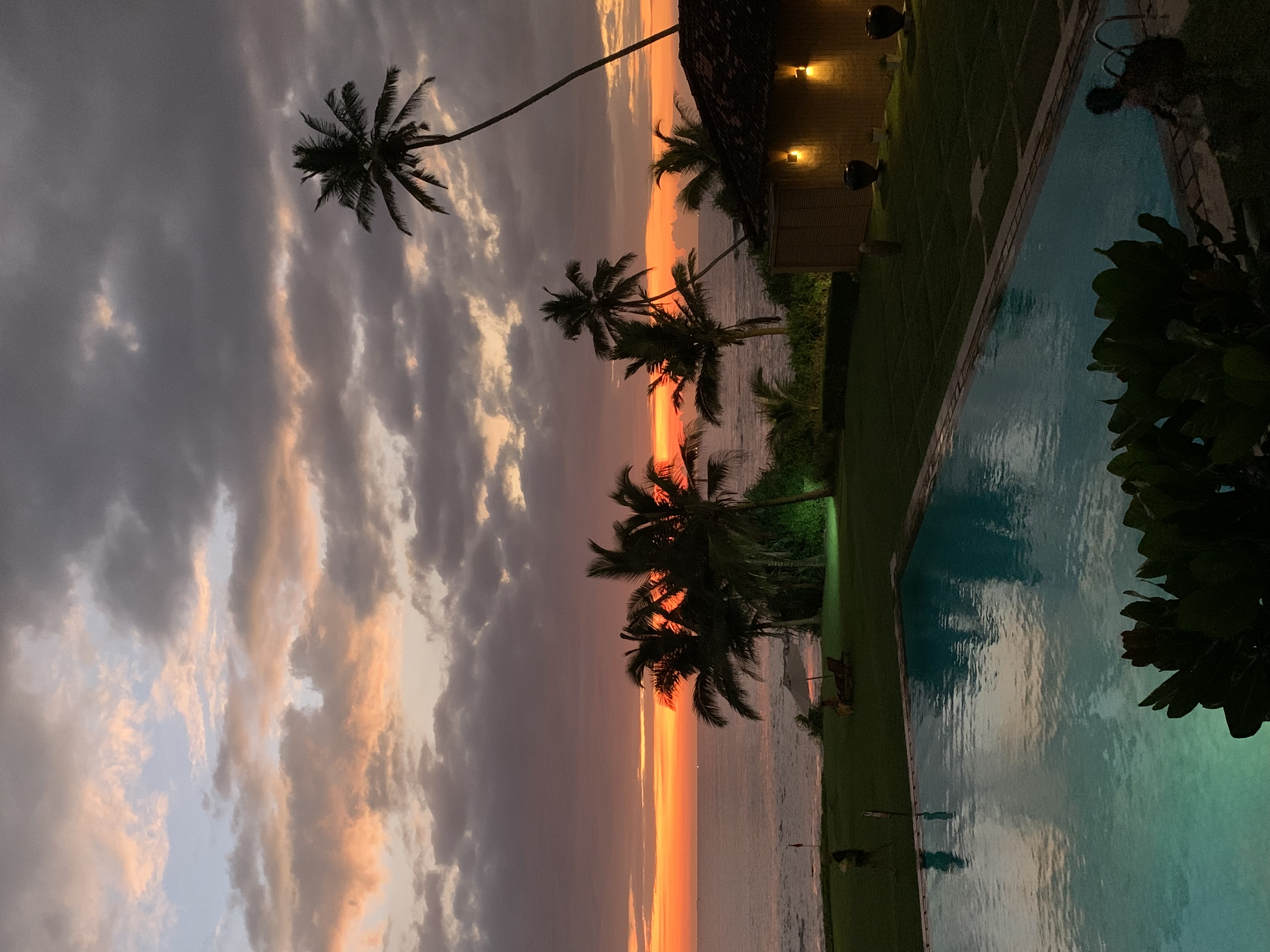 Тур Экзотика Шри-Ланки Pro (10 дней) (35/36)