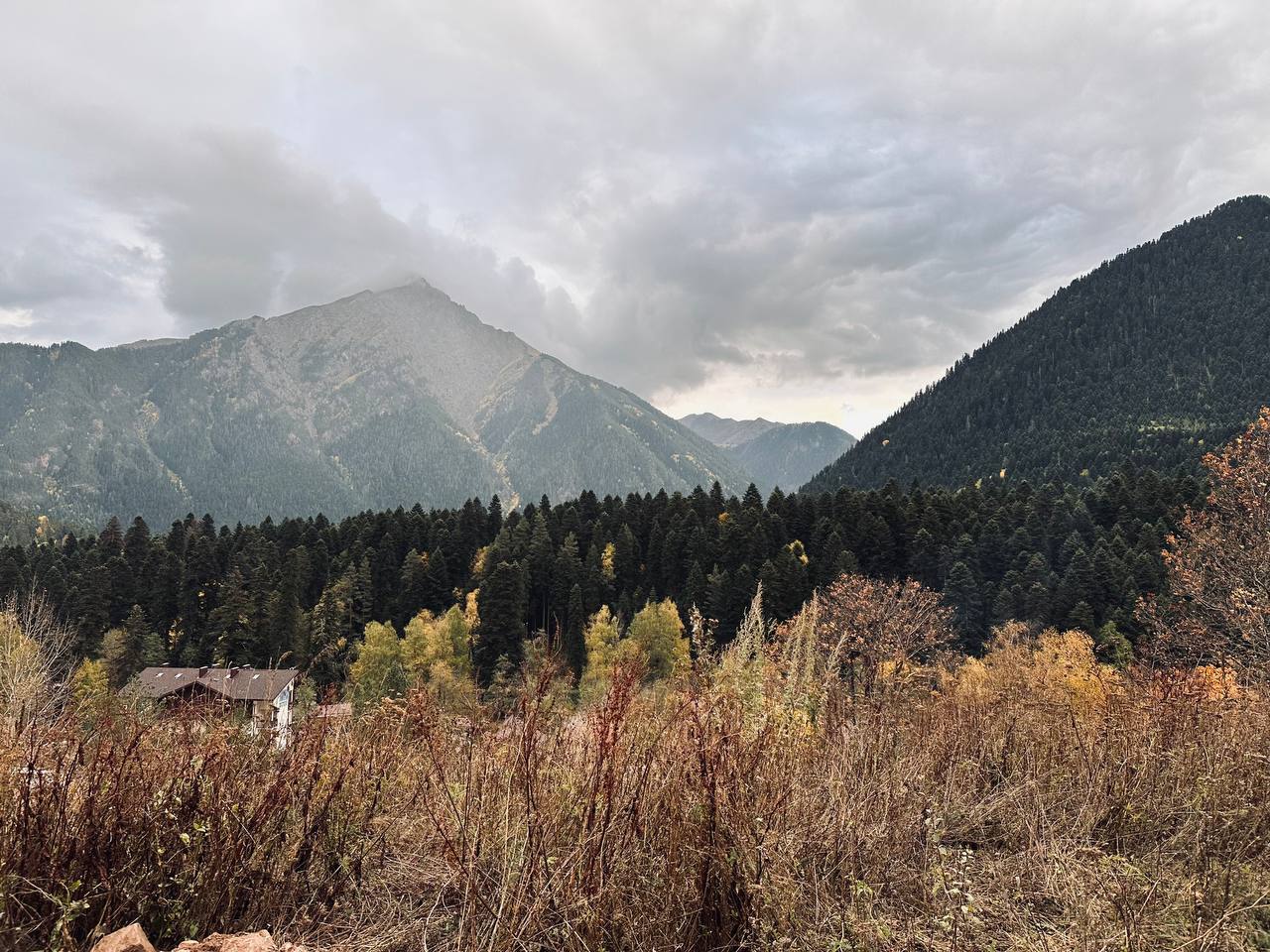 Дикий арт-кэмп в Архызе. Все включено! (5/23)