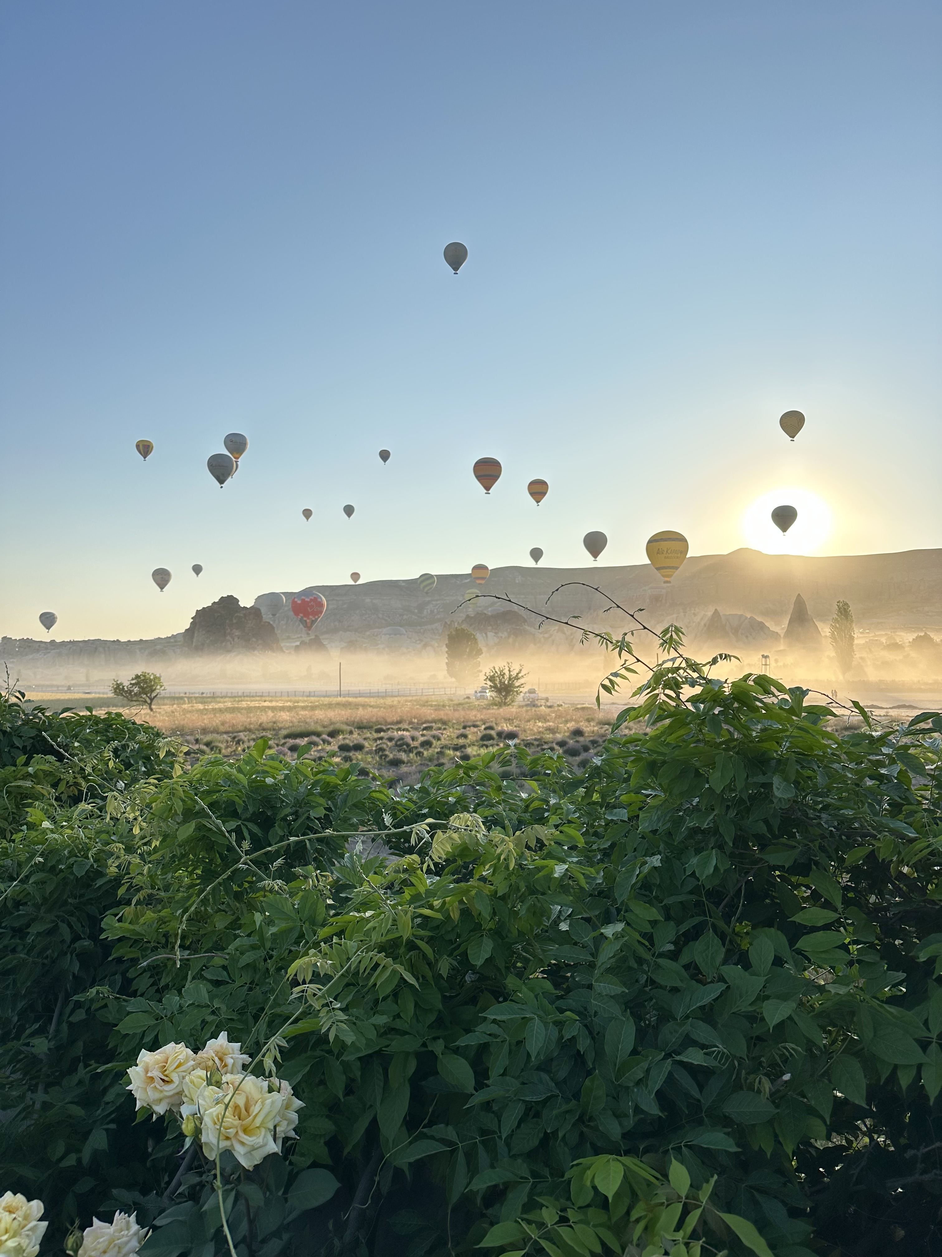 Стамбул и Каппадокия - увидеть всё за 6 дней! (120/124)