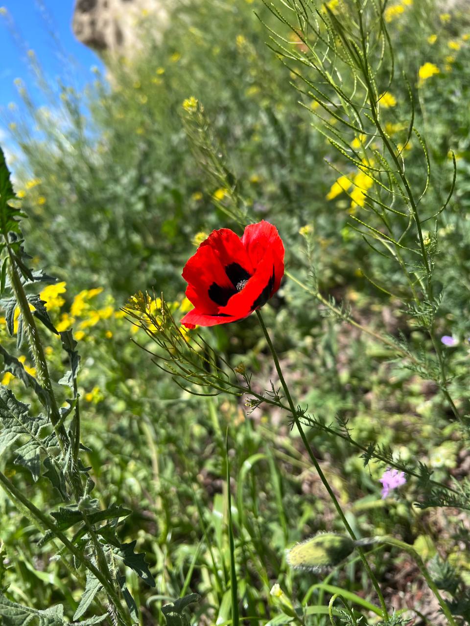 В двух словах о Грузии (5/20)