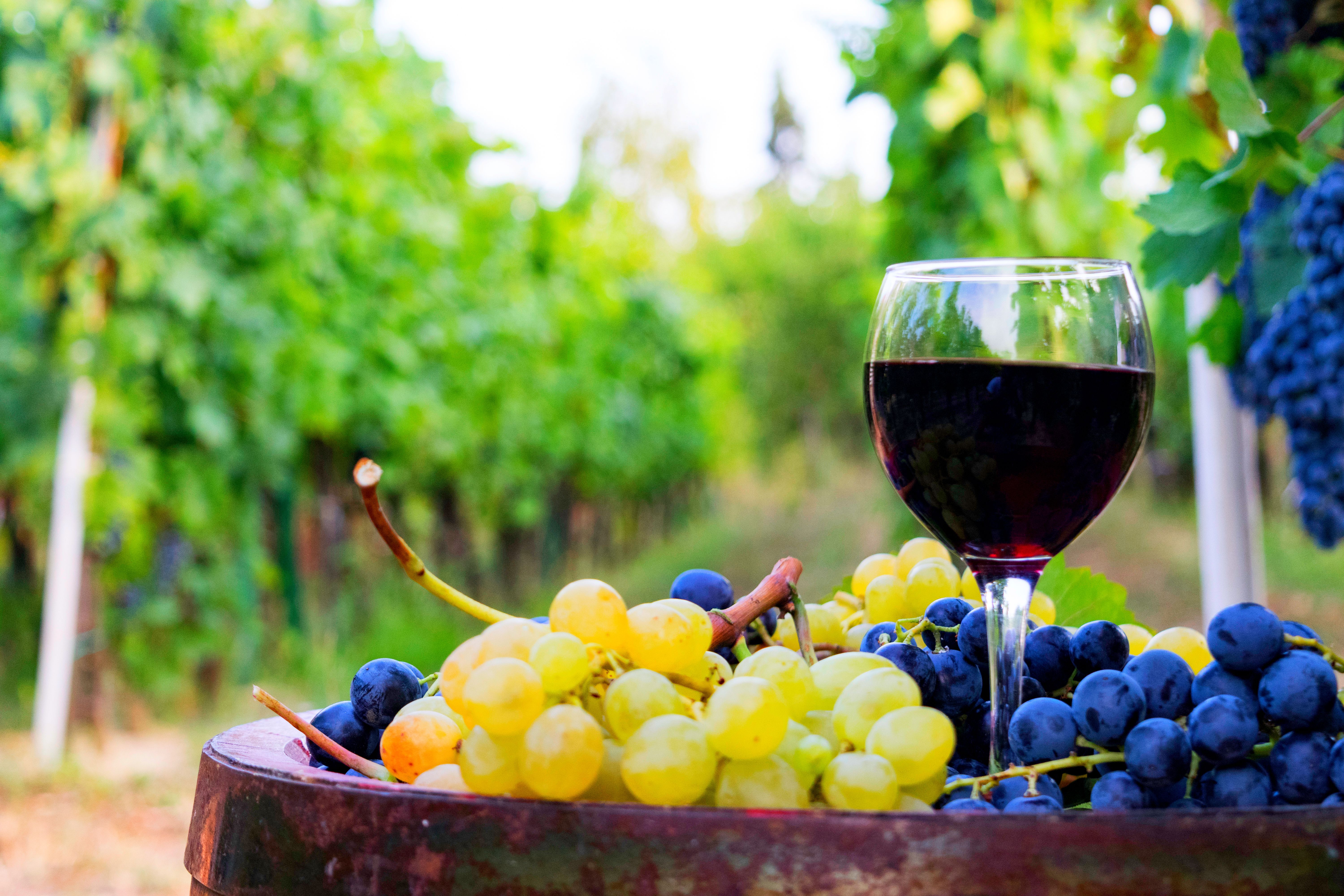 Канада: осколки изумрудного рая