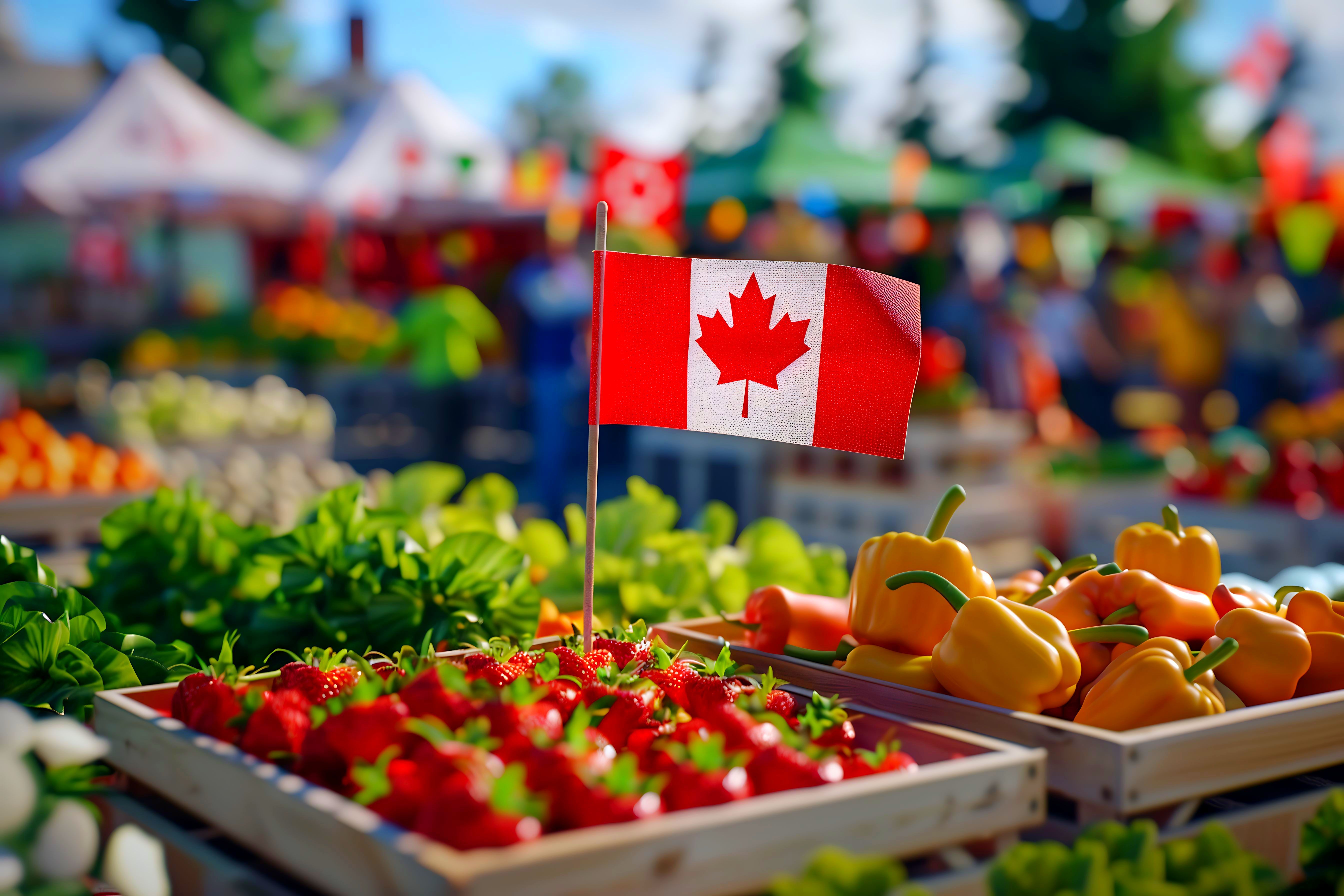 Канада: осколки изумрудного рая