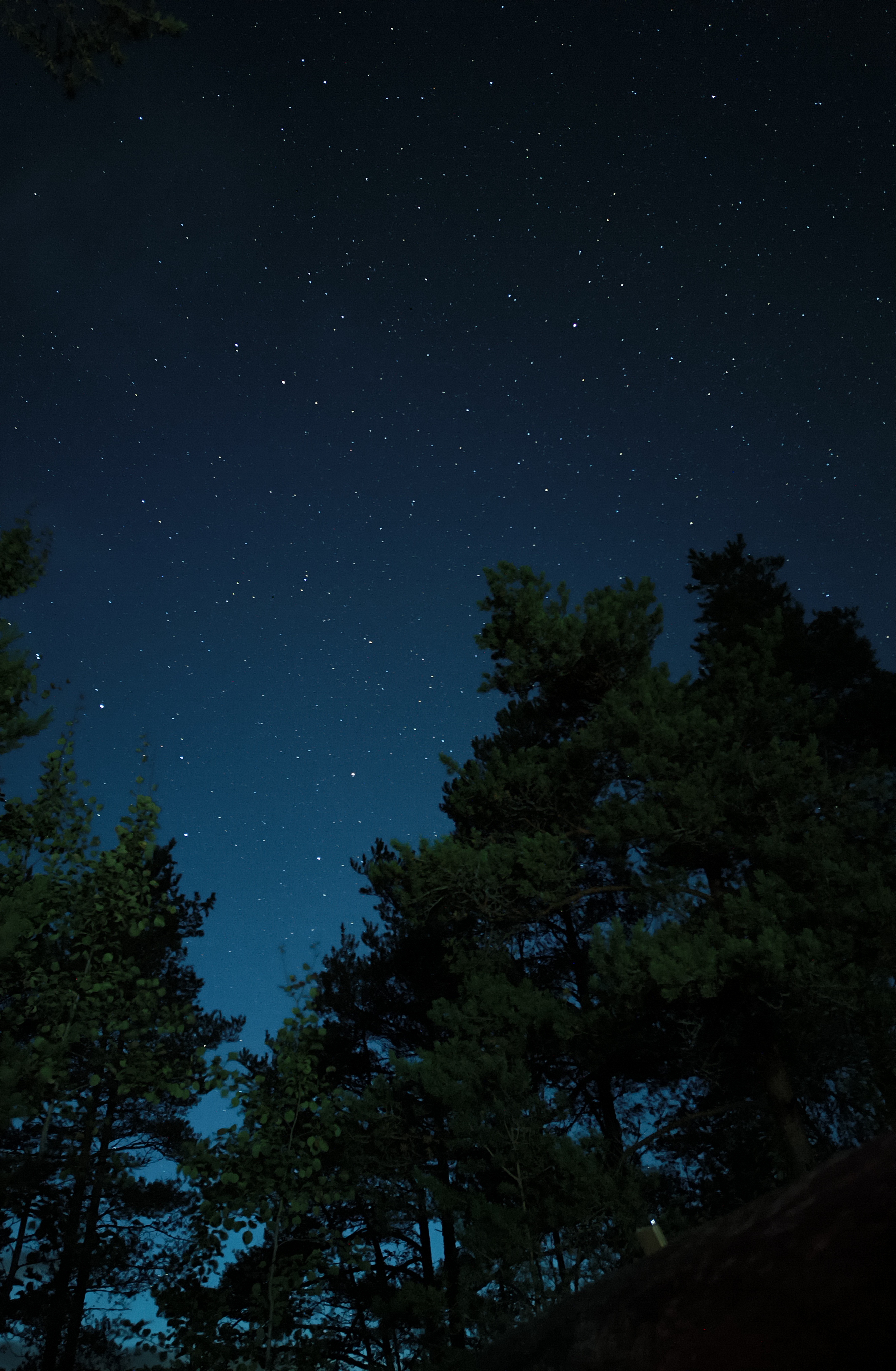 Дикий арт-кэмп в Архызе. Все включено! (6/23)