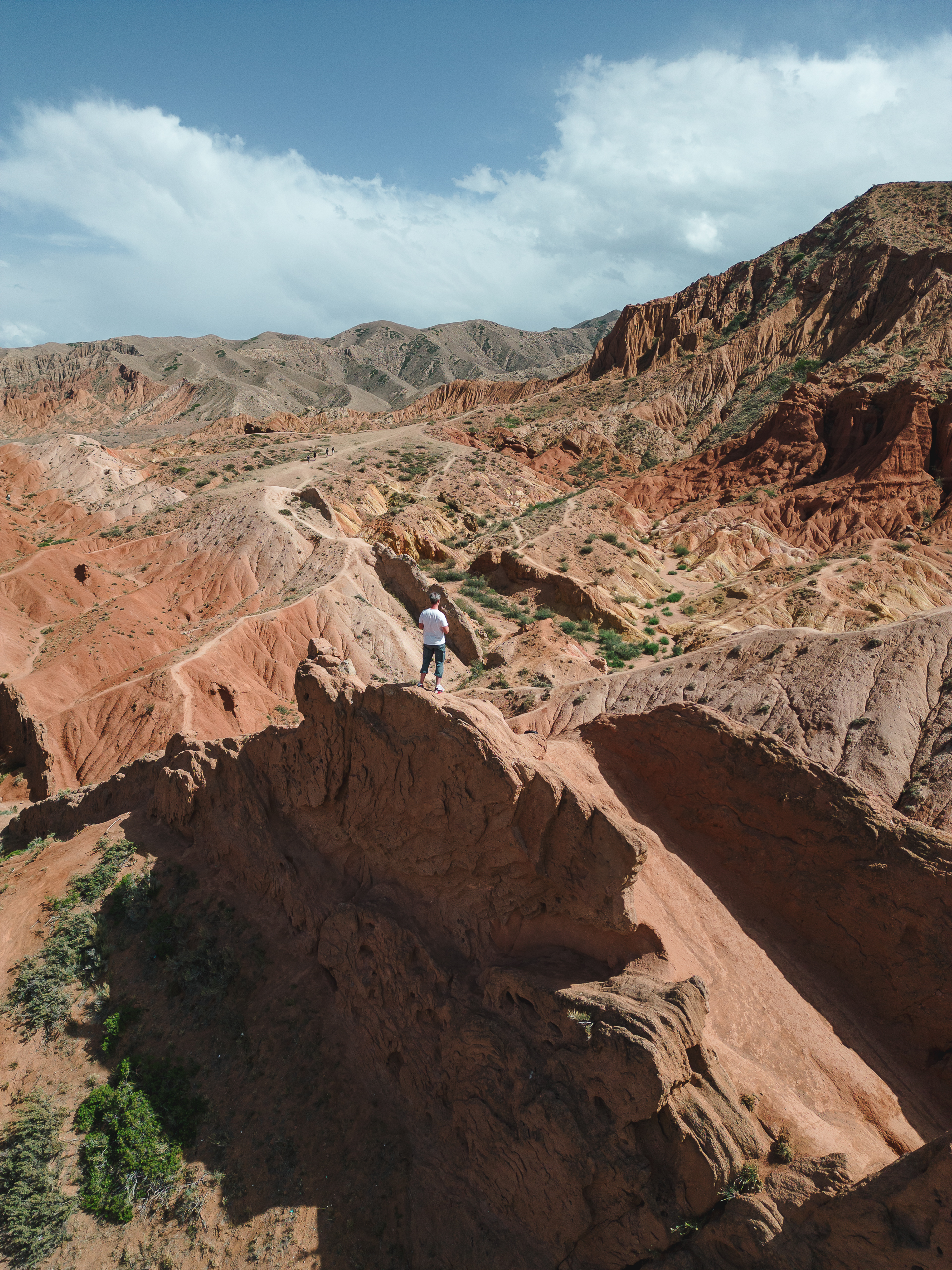 Маки Кыргызстана! Красивый тур весны. (20/64)