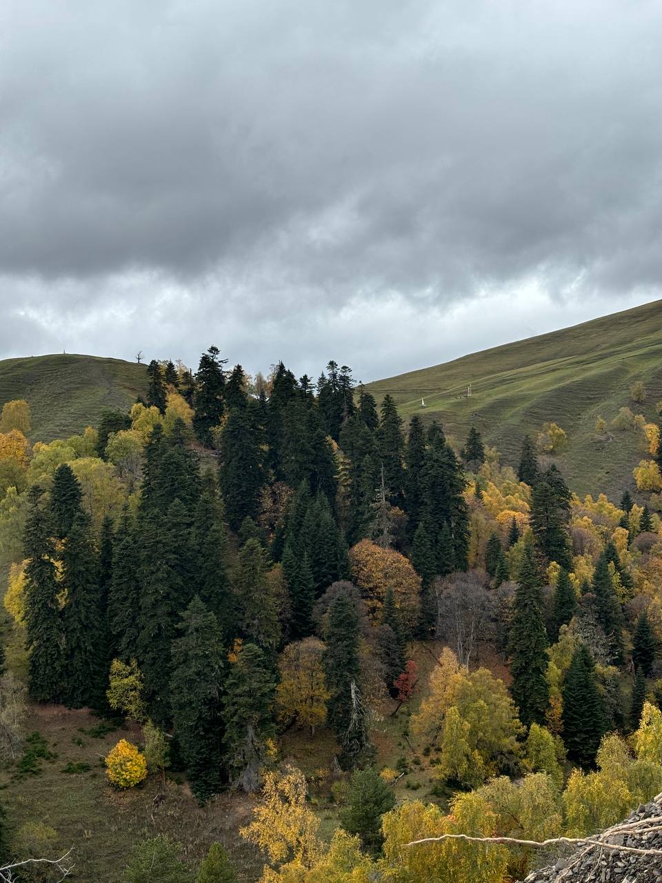 Дикий арт-кэмп в Архызе. Все включено! (4/23)
