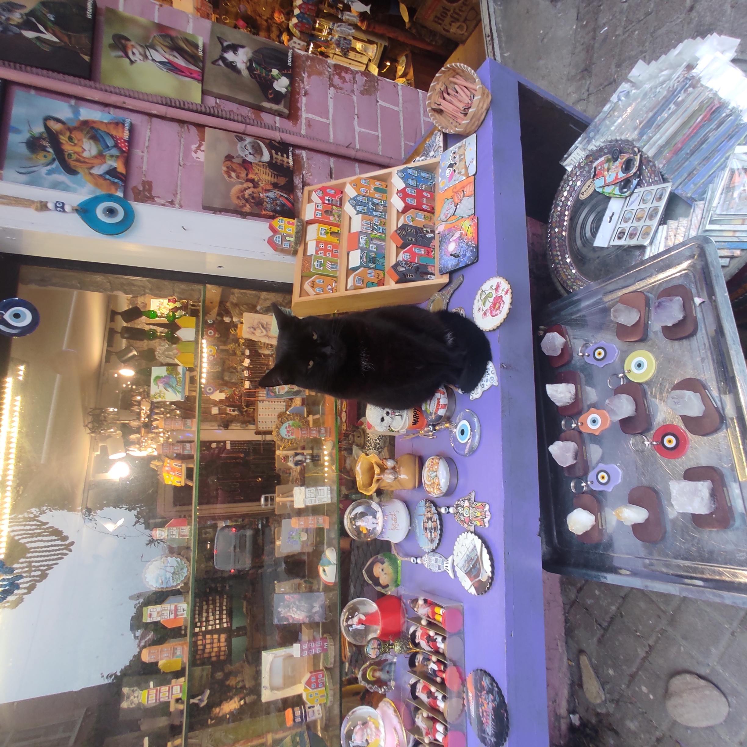 Великий Стамбул 6 ночей/ 7 дней (61/86)