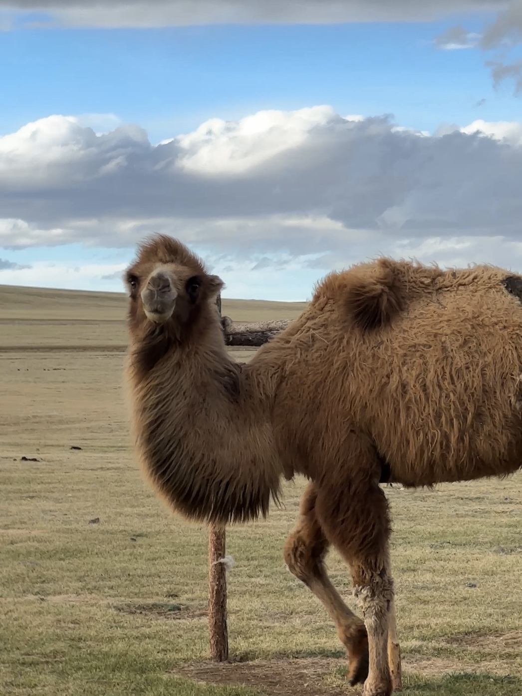 Четыре мира: от гор к степям (2/18)