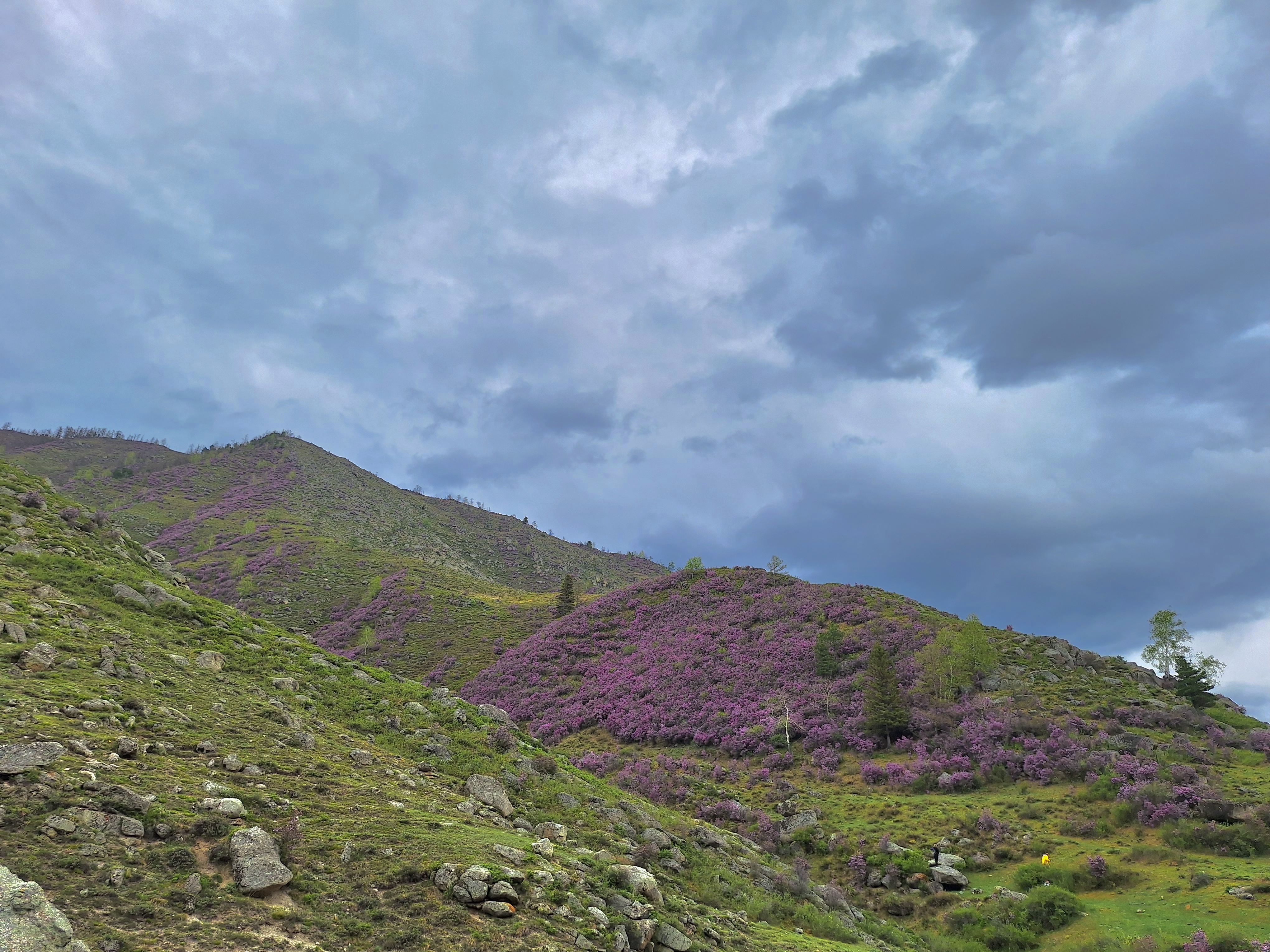 Четыре мира: от гор к степям