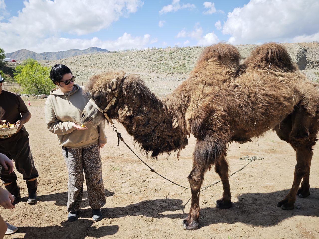 Маки Кыргызстана! Красивый тур весны. (32/64)