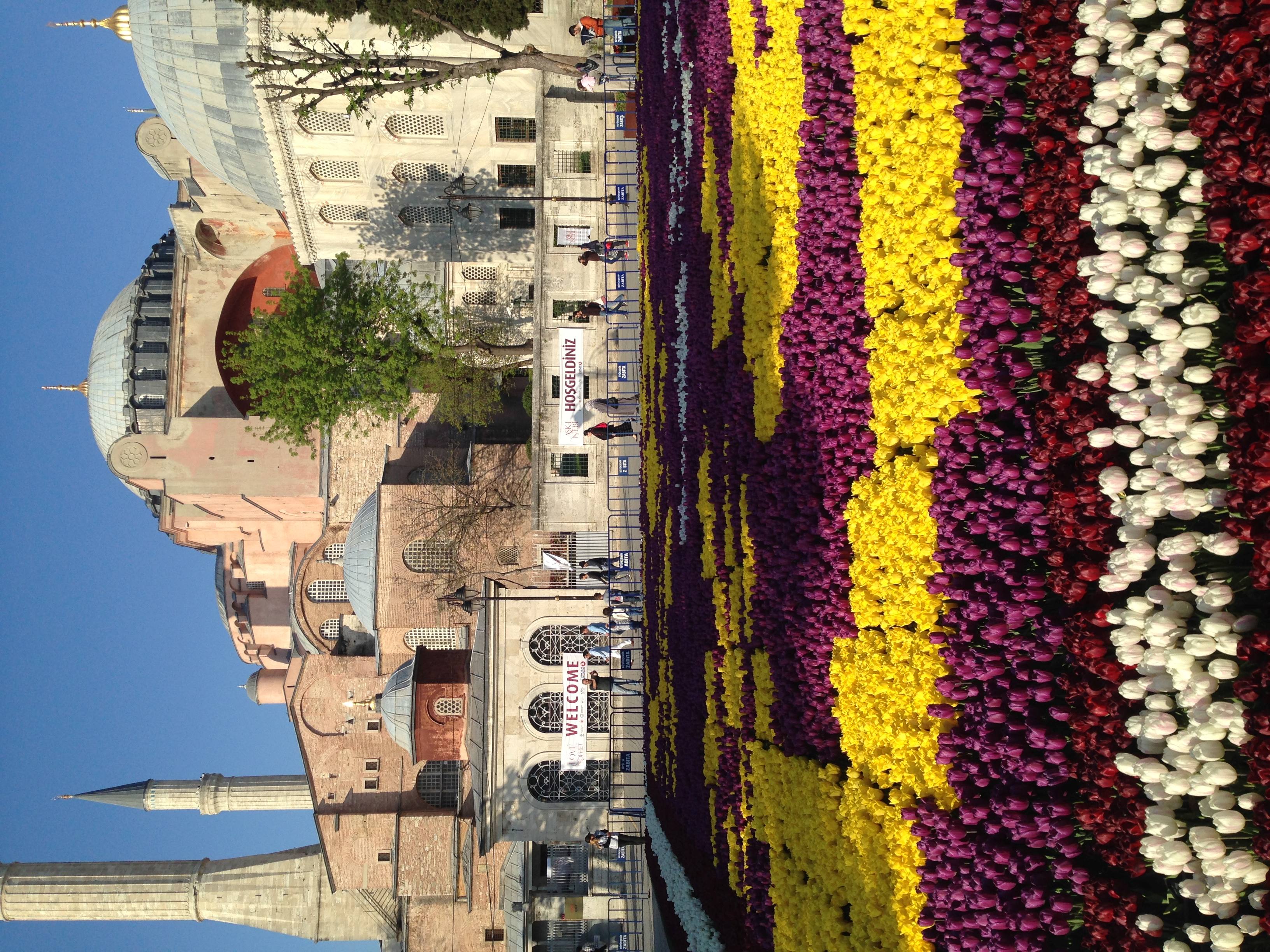 Великий Стамбул 6 ночей/ 7 дней (59/86)