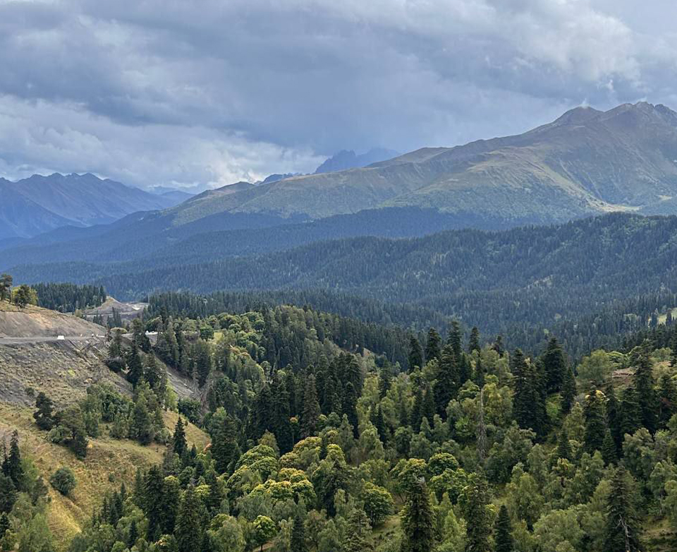 Дикий арт-кэмп в Архызе. Все включено! (9/23)