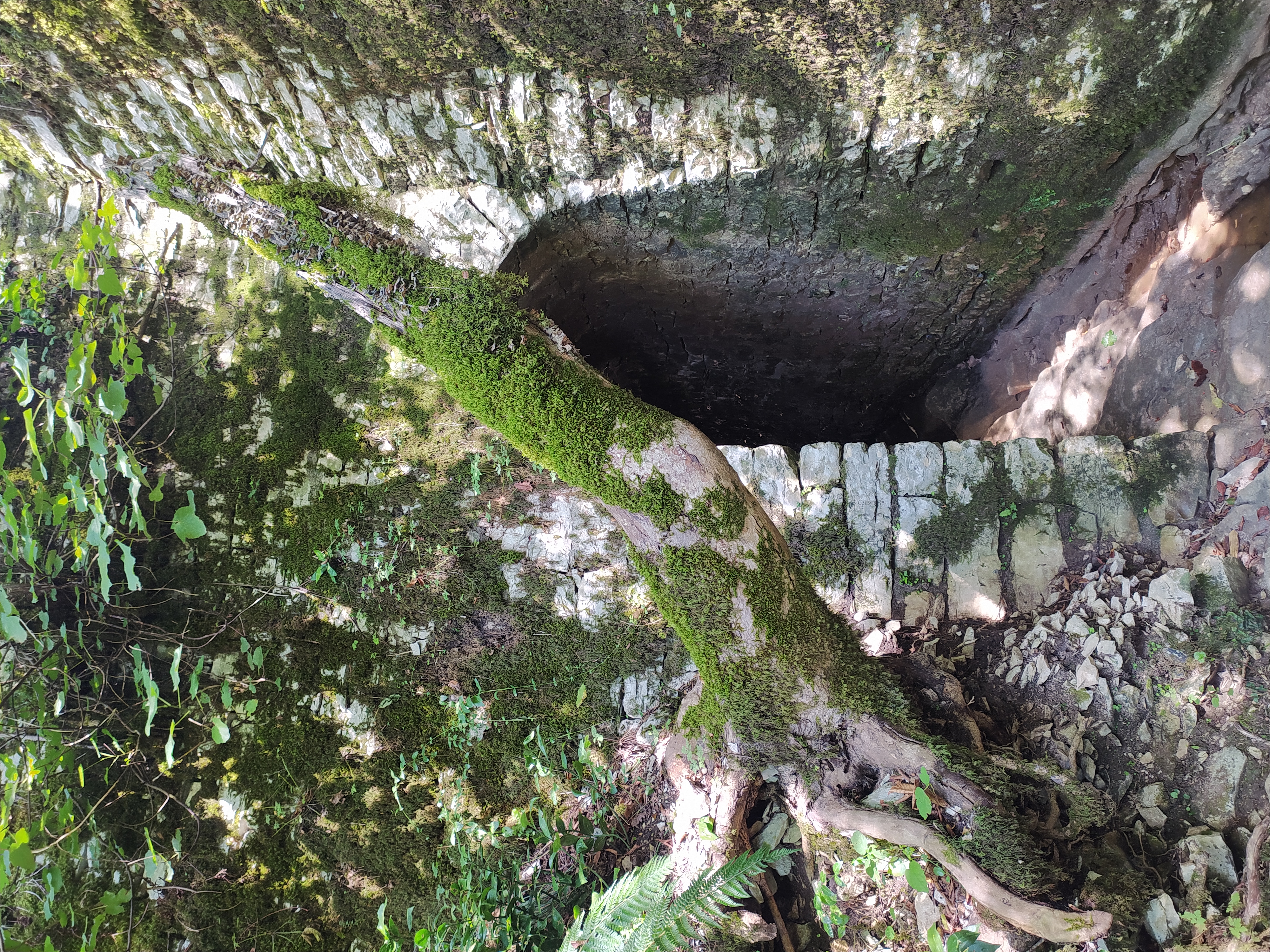 8 марта в Сочи/Абхазии! (2/13)