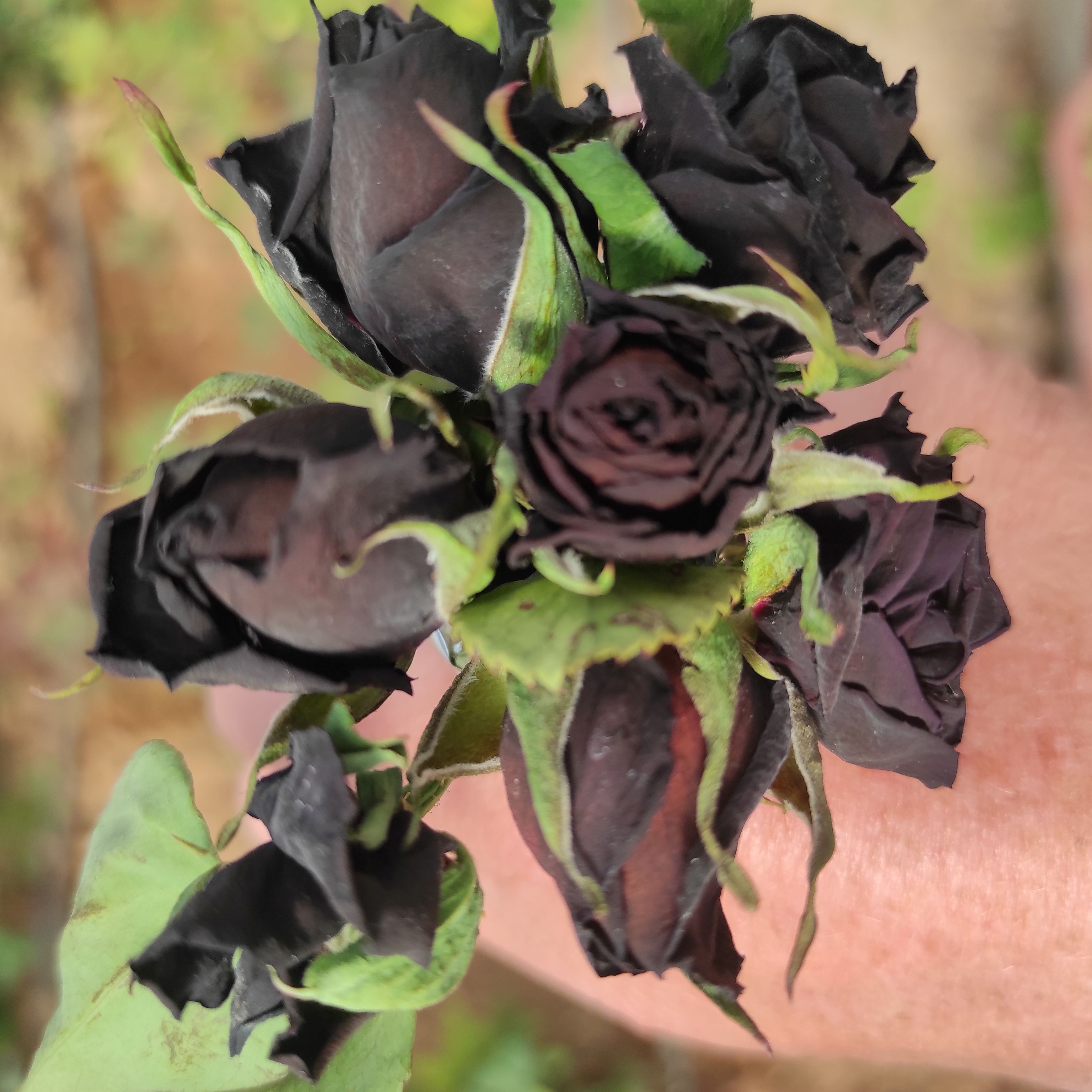 Месопотамия - Колыбель Цивилизаций  7ночей/ 8 дней (98/166)