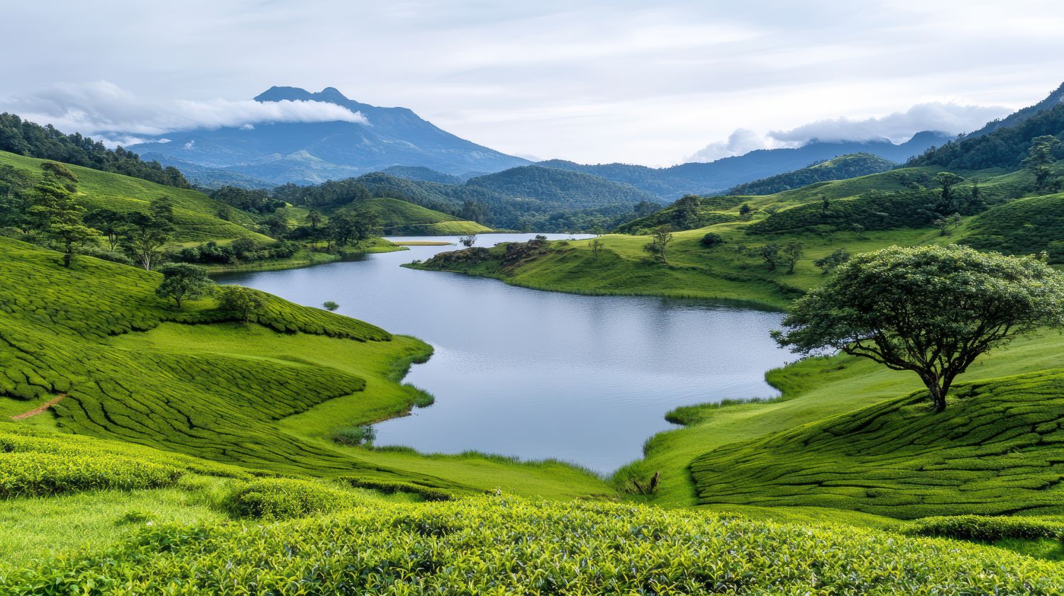 Тур в Шри Ланку на 8 дней (5 дней экскурсии + 3 дня пляж) (14/43)