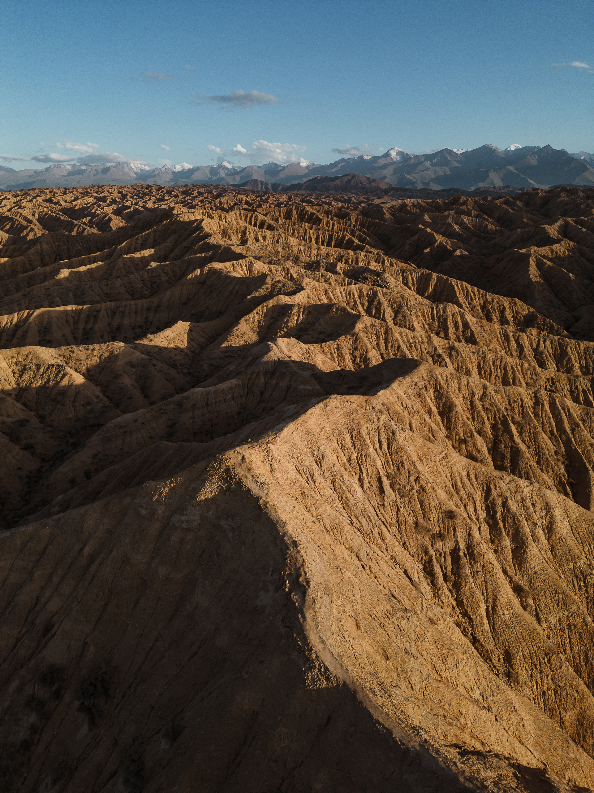 Маки Кыргызстана! Красивый тур весны. (18/64)