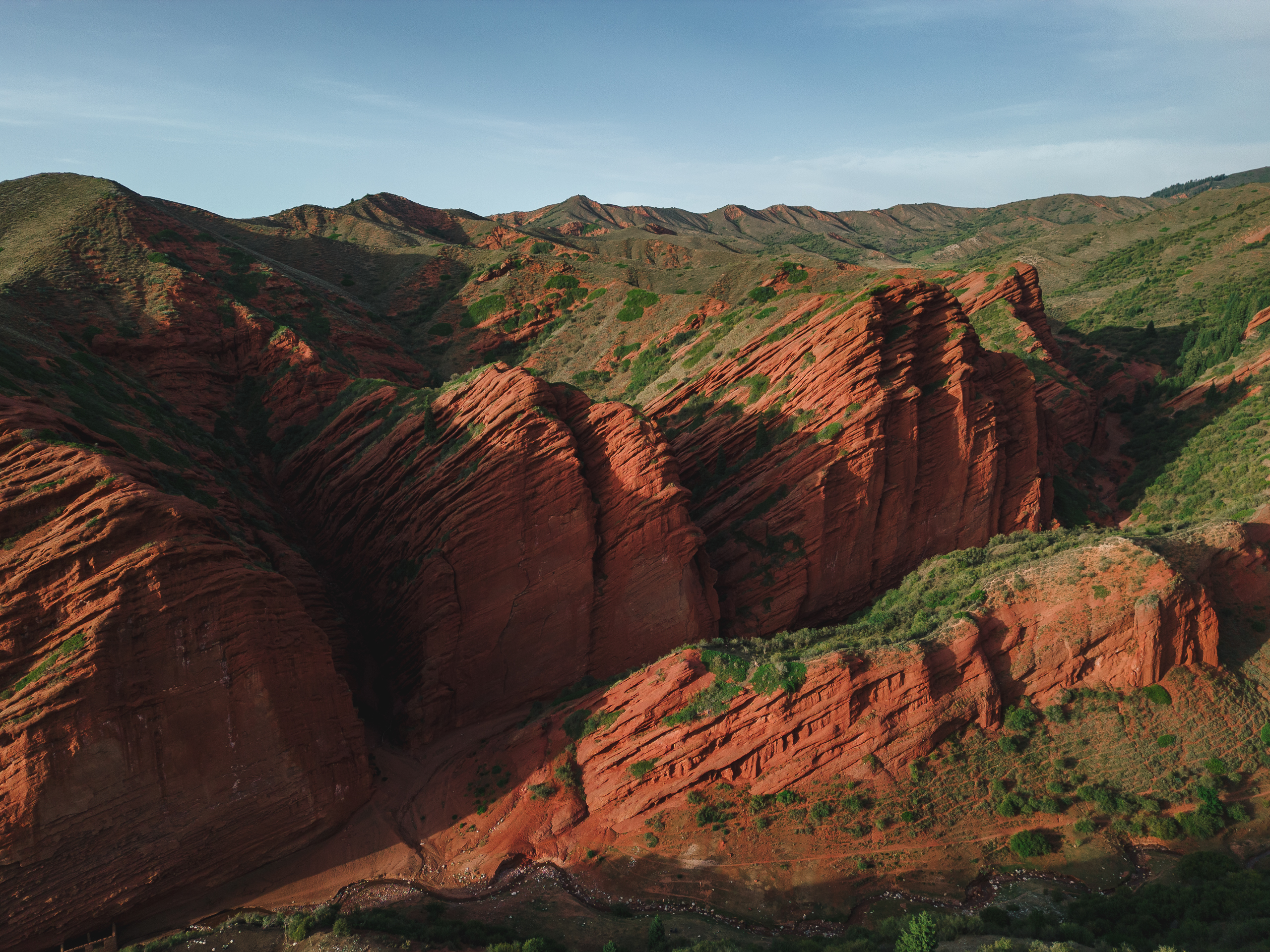 Маки Кыргызстана! Красивый тур весны. (22/64)